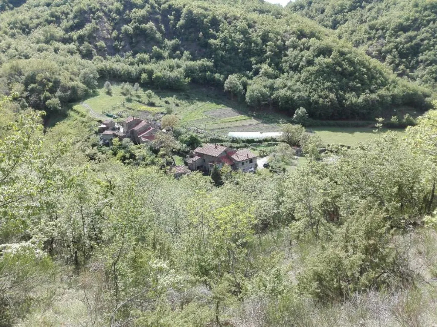 Fattoria La Germana