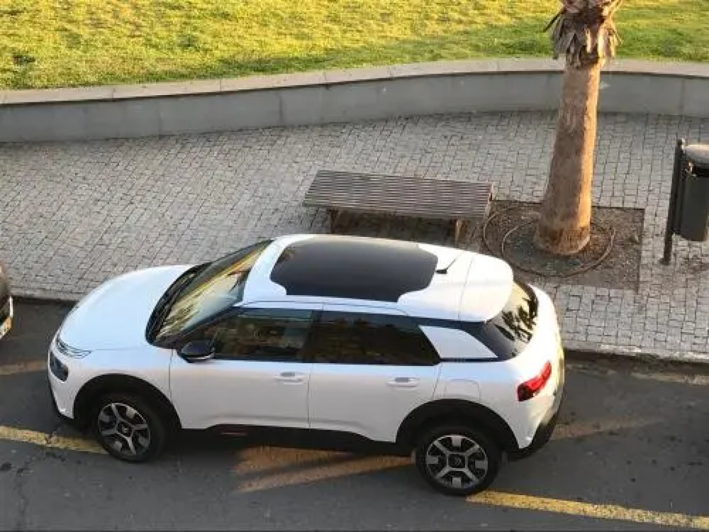 Penthouse Canico Mar