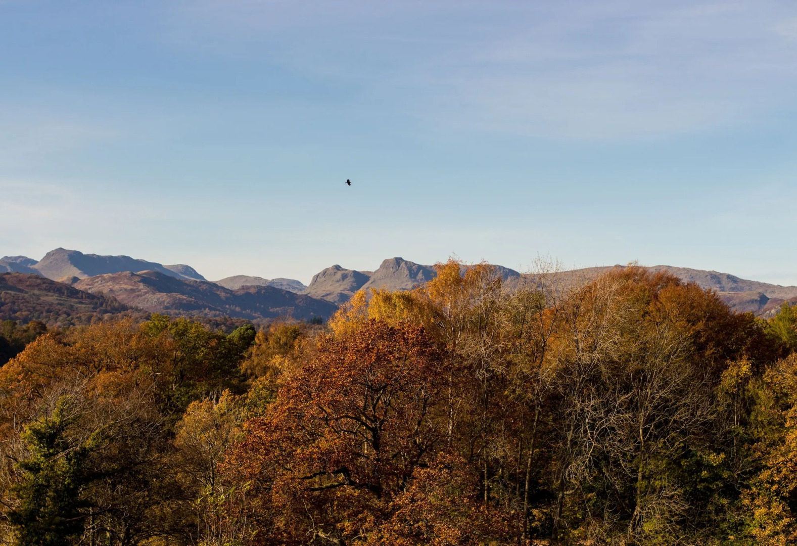 Cragwood Country House Hotel