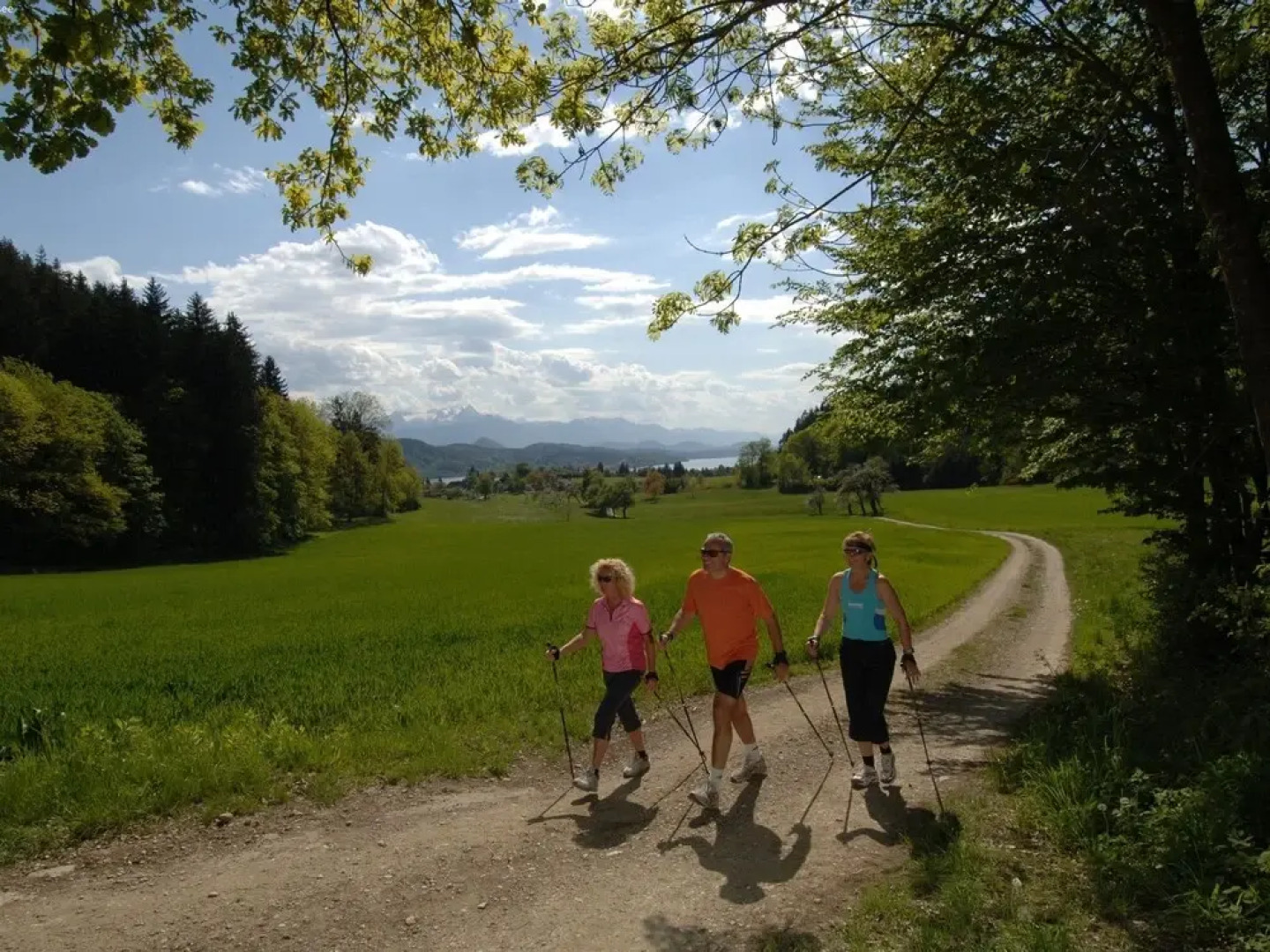 Beautiful Apartment in Unterbergen With Sauna