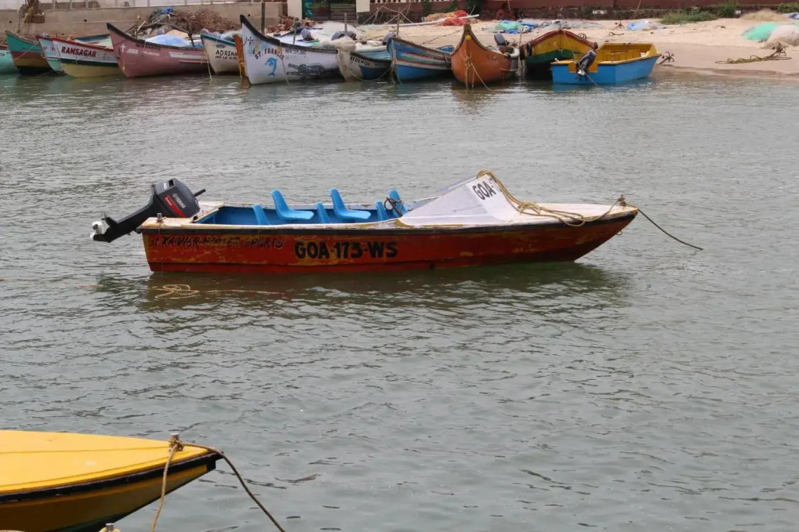 Macedo Palms Lemonmint