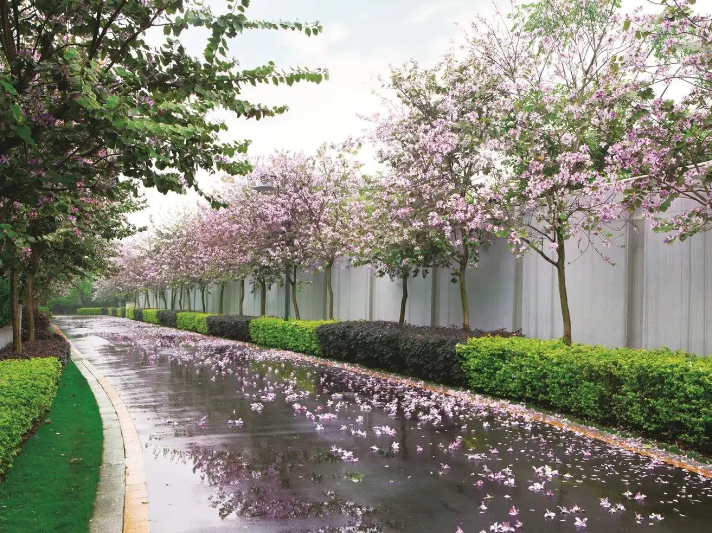 Shanshui Villa Hotel