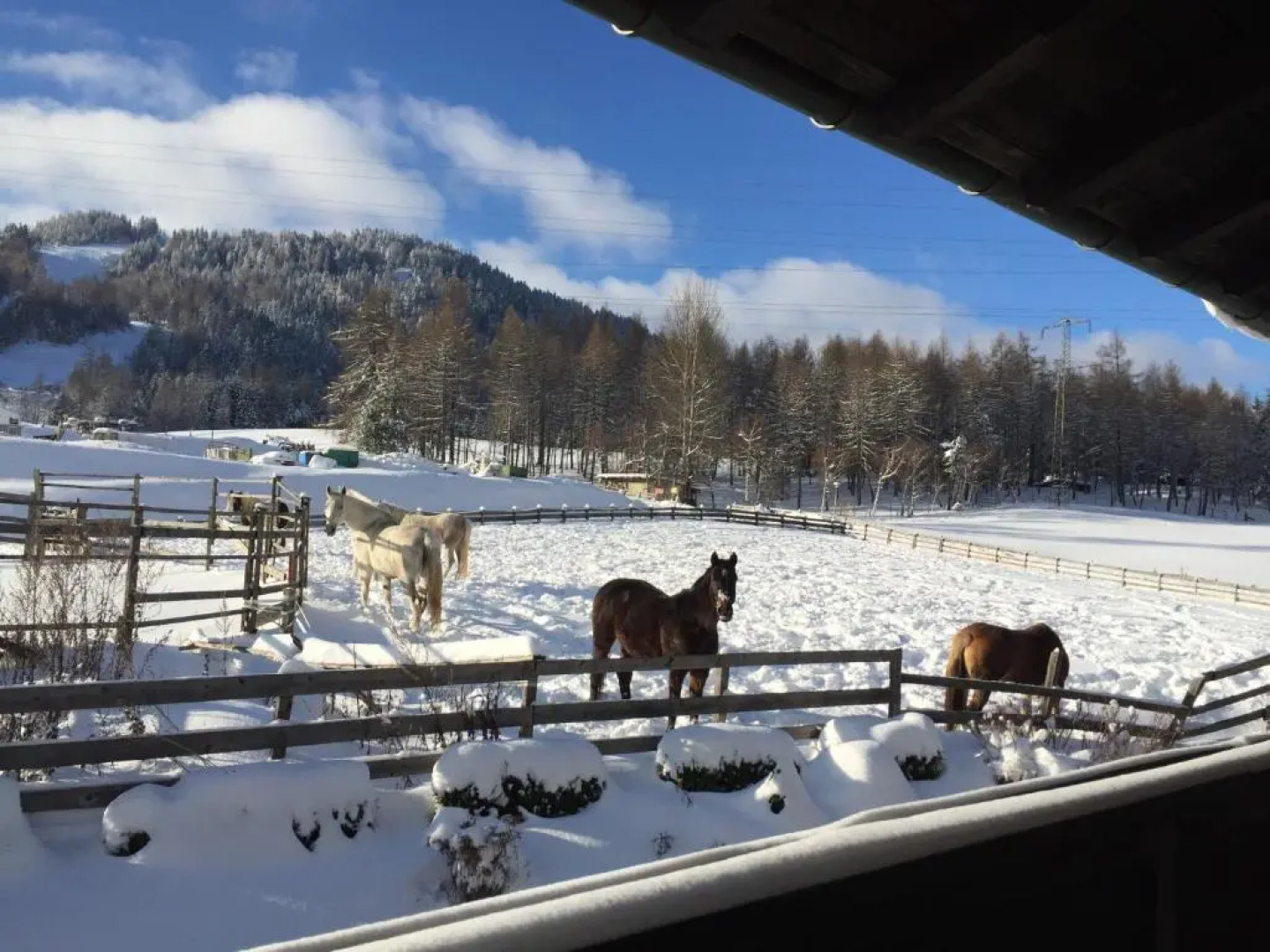 Apartmenthaus Jagdhof