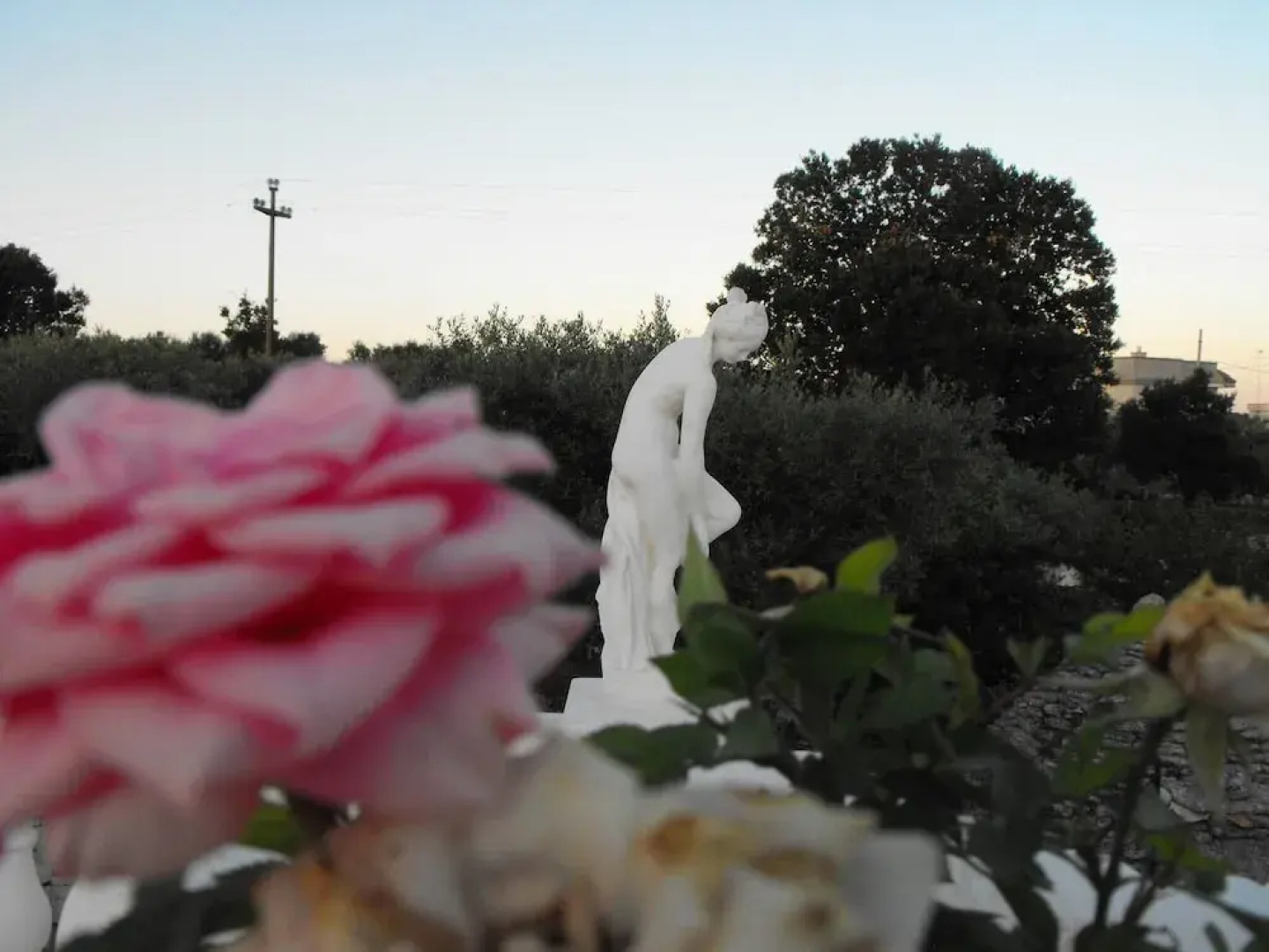 Villa Clara Alberobello