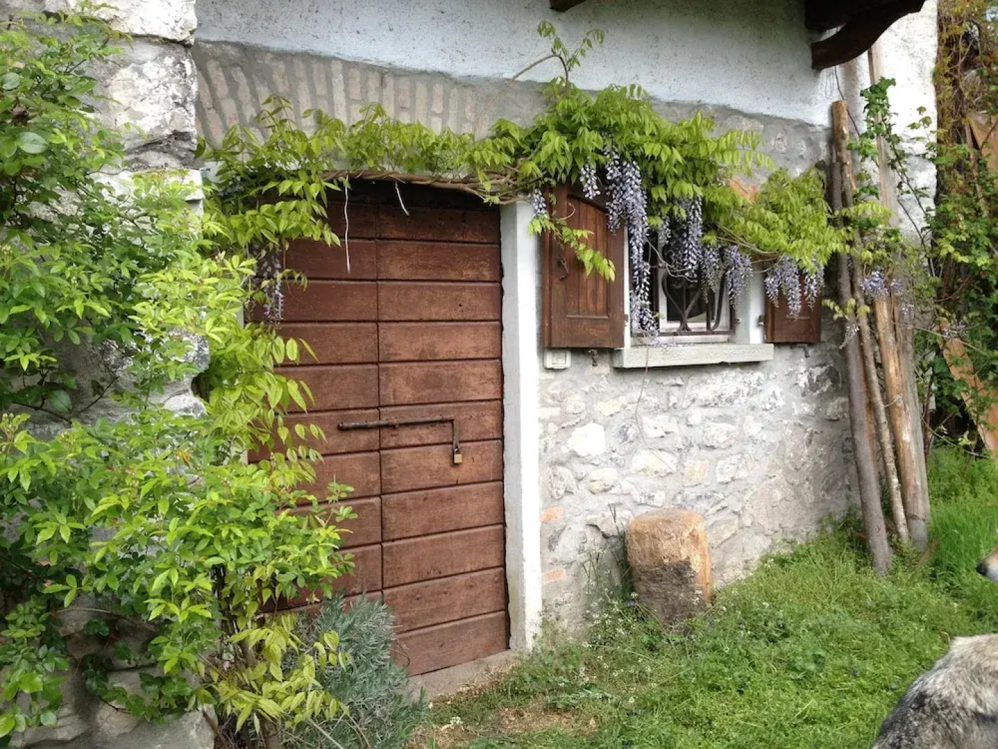 B&B PadÃ² - Immersi nella natura