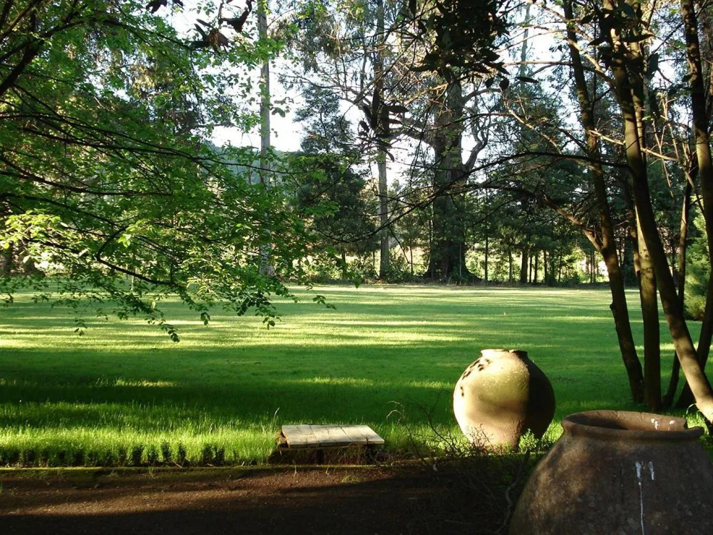 Hotel Hacienda los Lingues