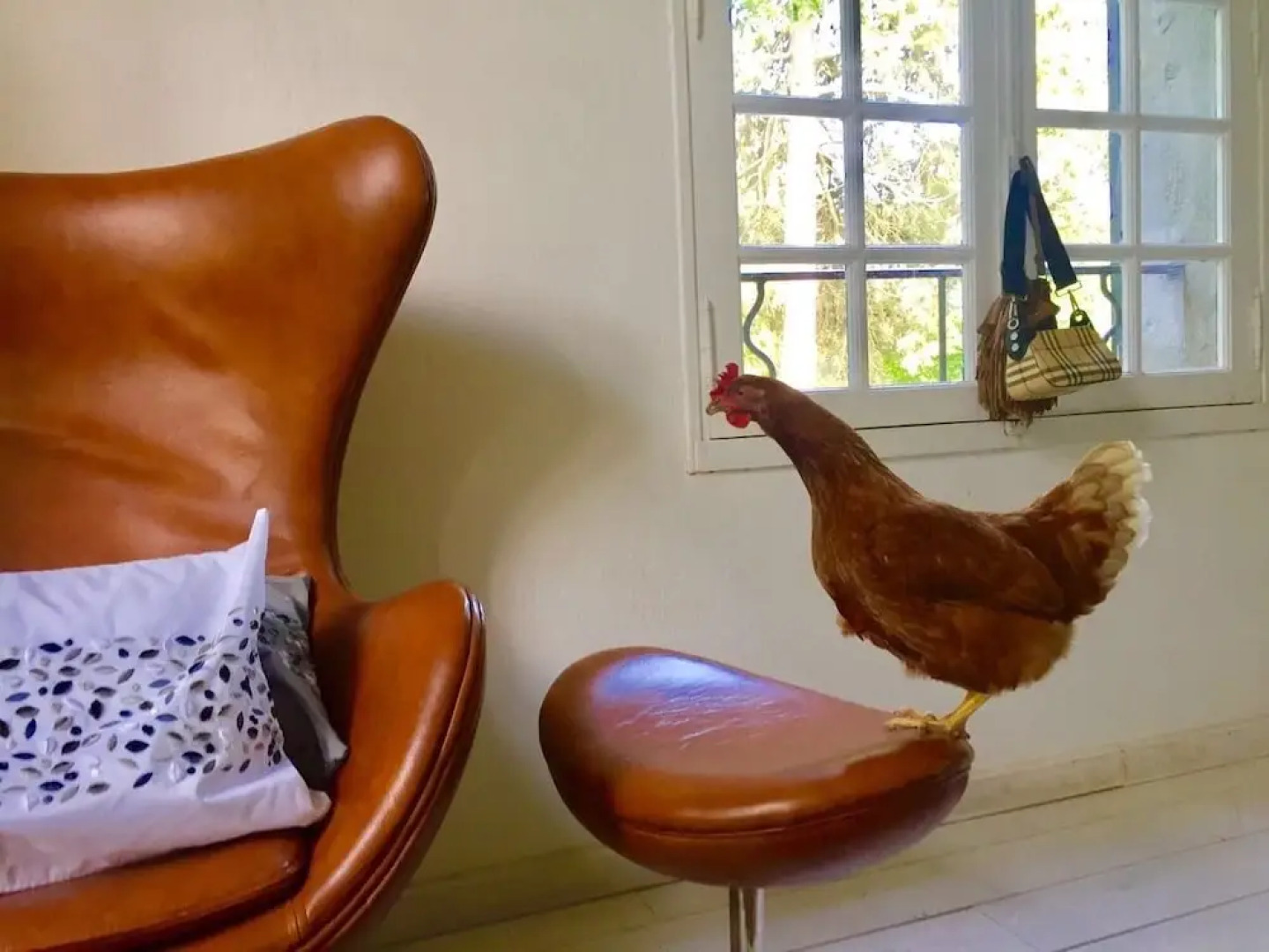 Château de Villarlong