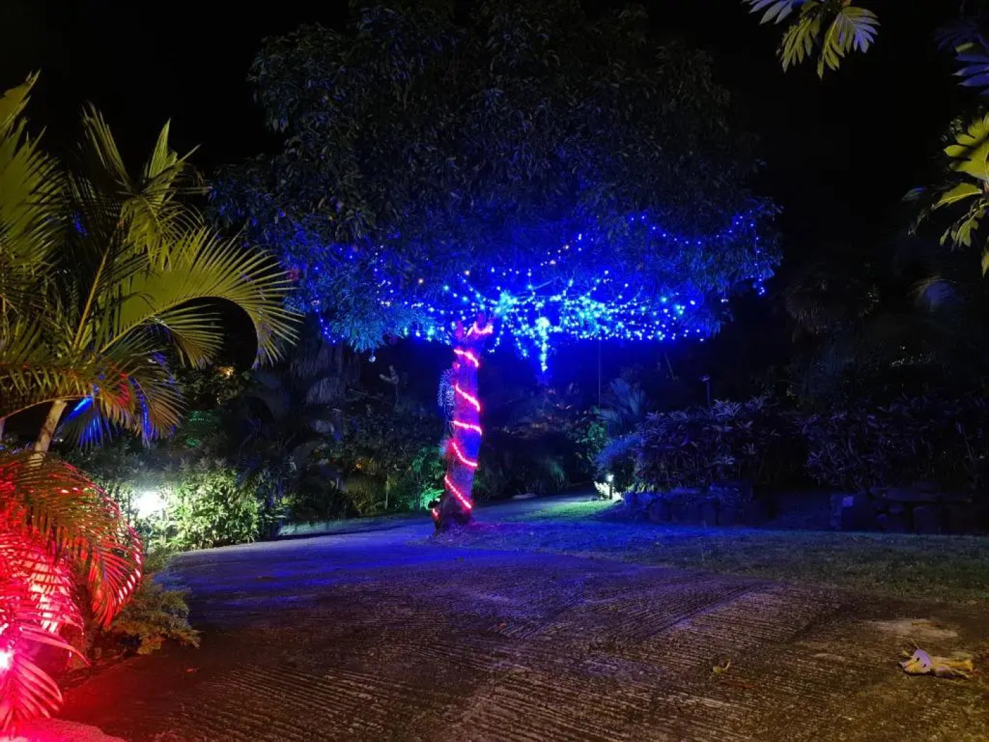 Residence Can' Hibiscus