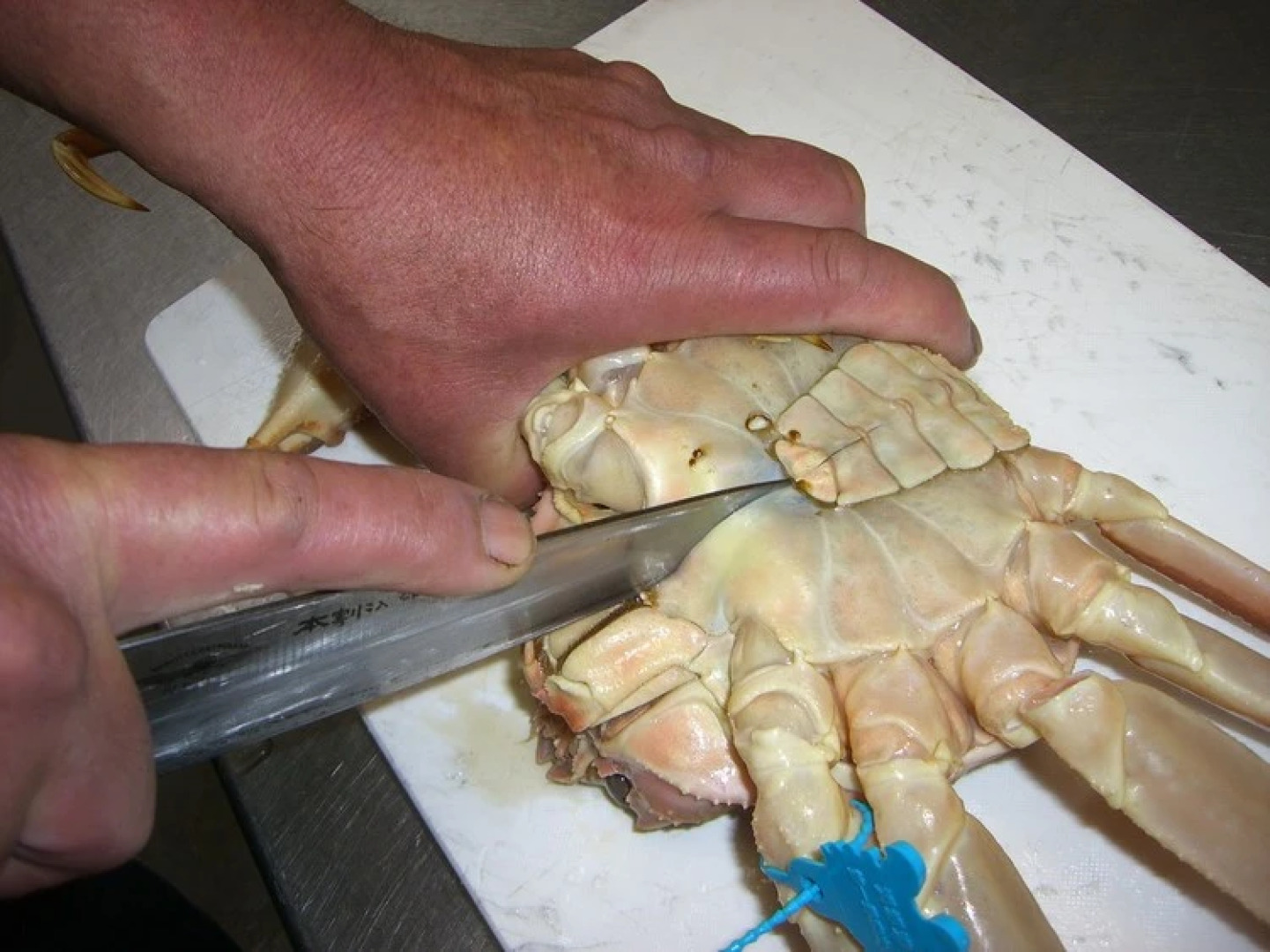 Hamasaka Onsen Umibenooyado Marubun