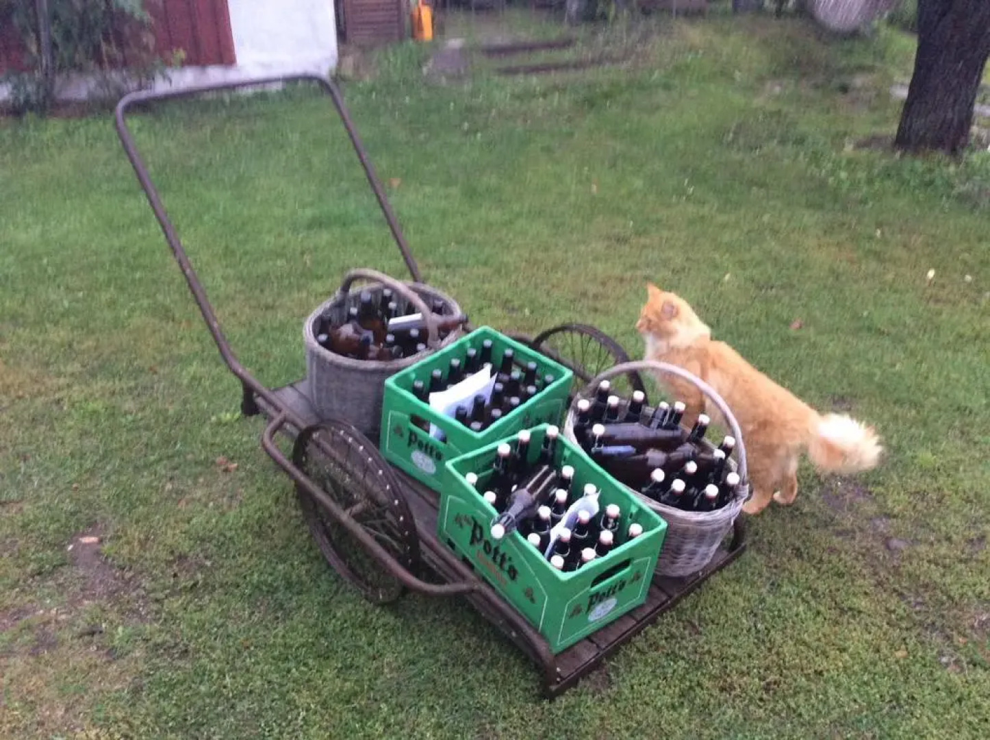 Björnåsen Bear Hill