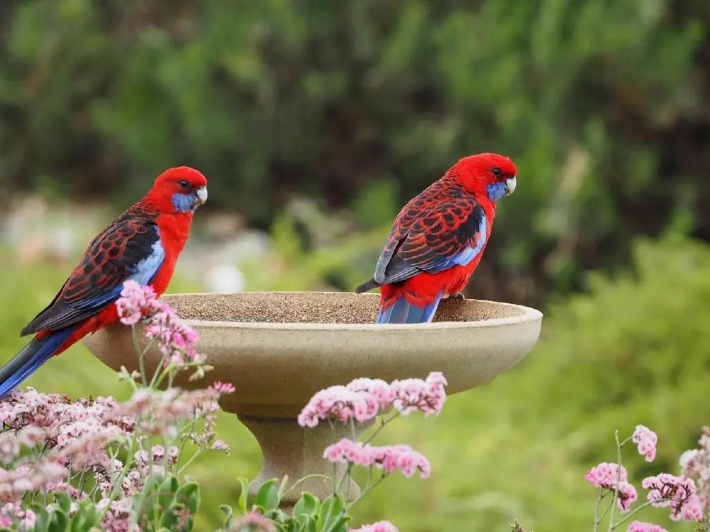 Emu Bay Holiday Homes