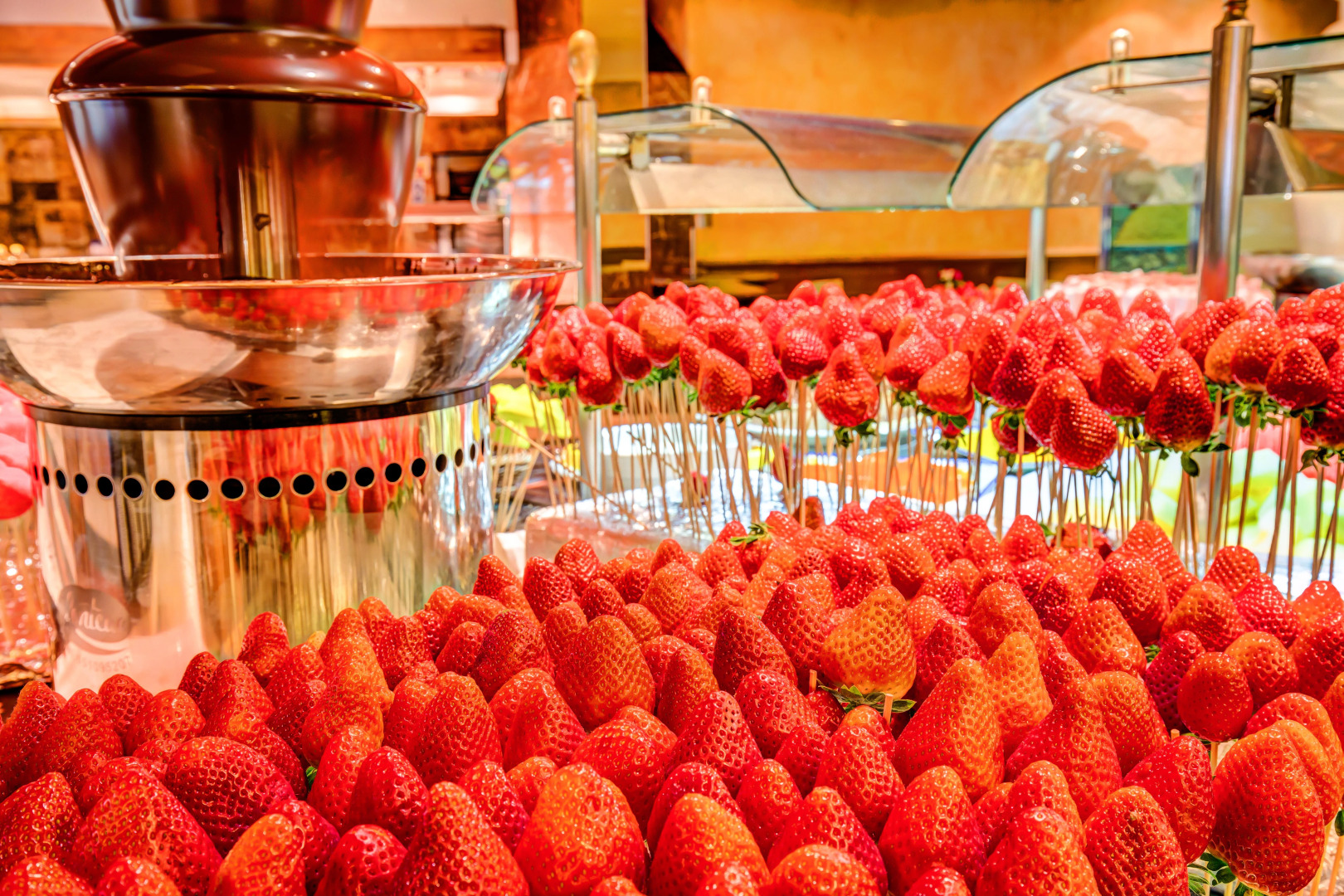 SBH Costa Calma Beach Resort