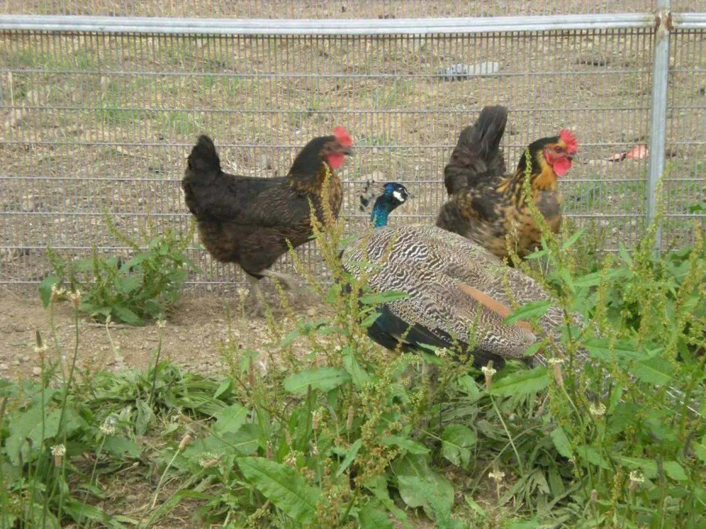 Domaine de Kerbillec