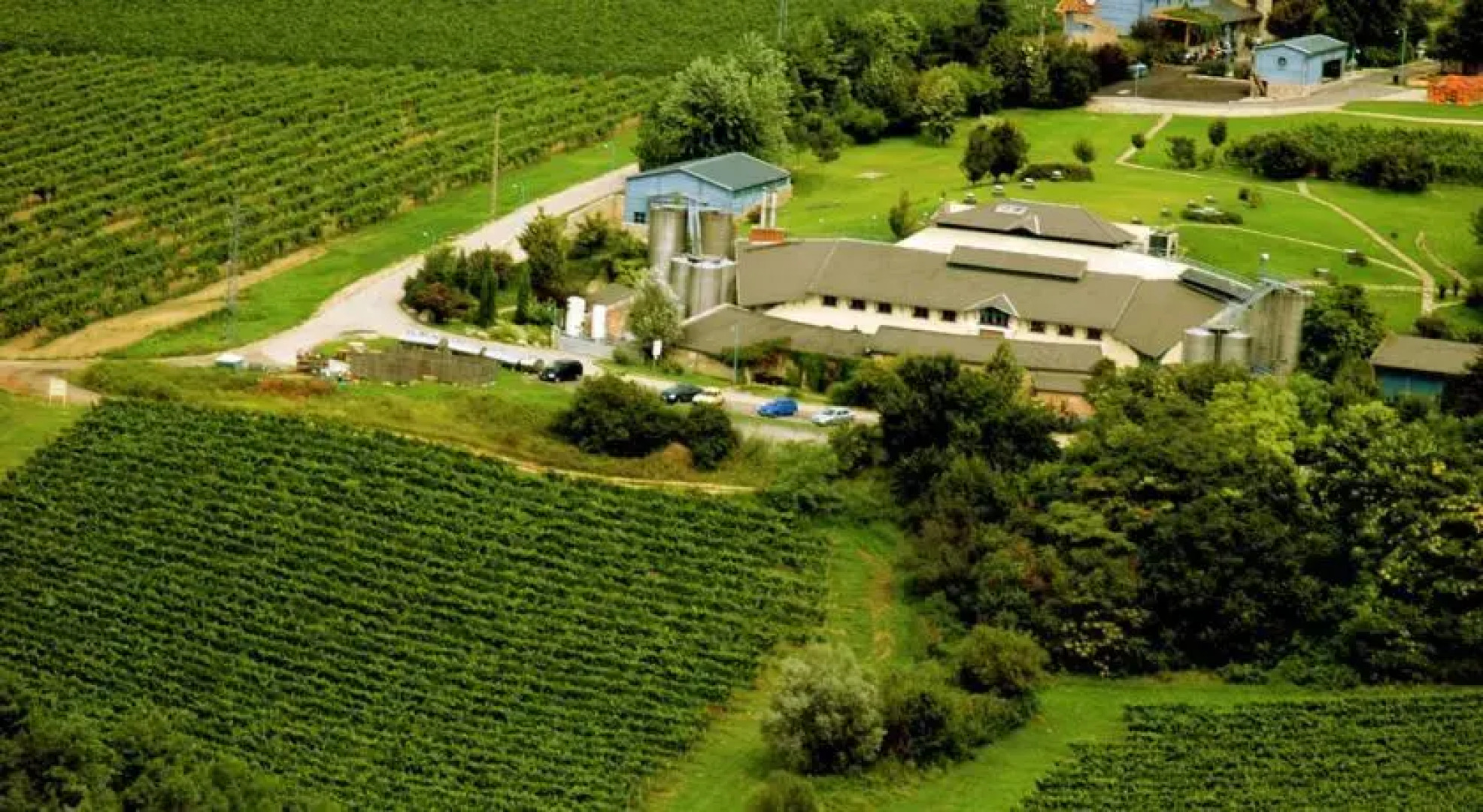 Hilltop Borhotel és Étterem