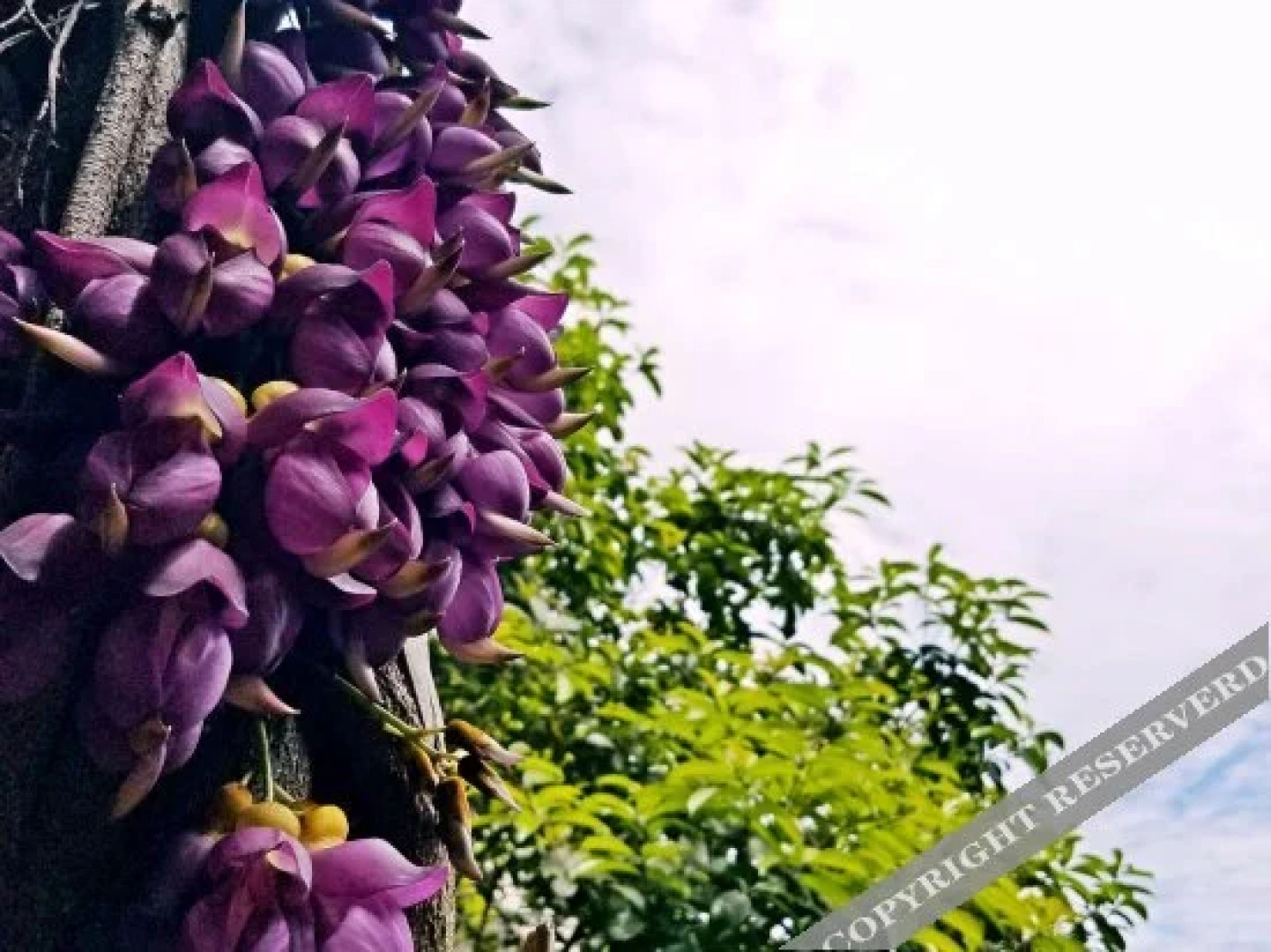 Shengli Liyuan Hotel