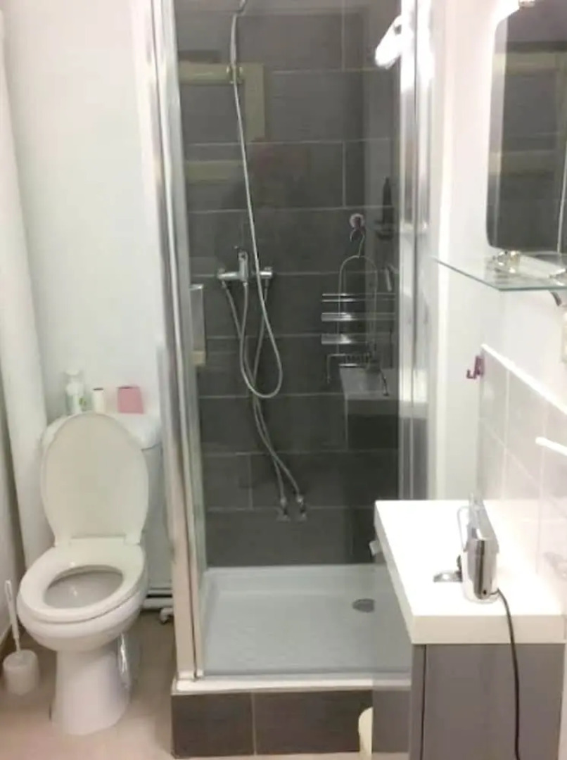 Studio In Vichy With Furnished Garden