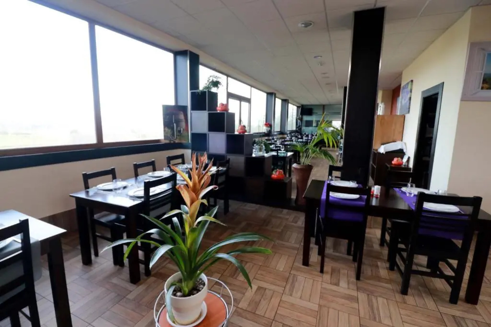 Apartamentos Casas Novas