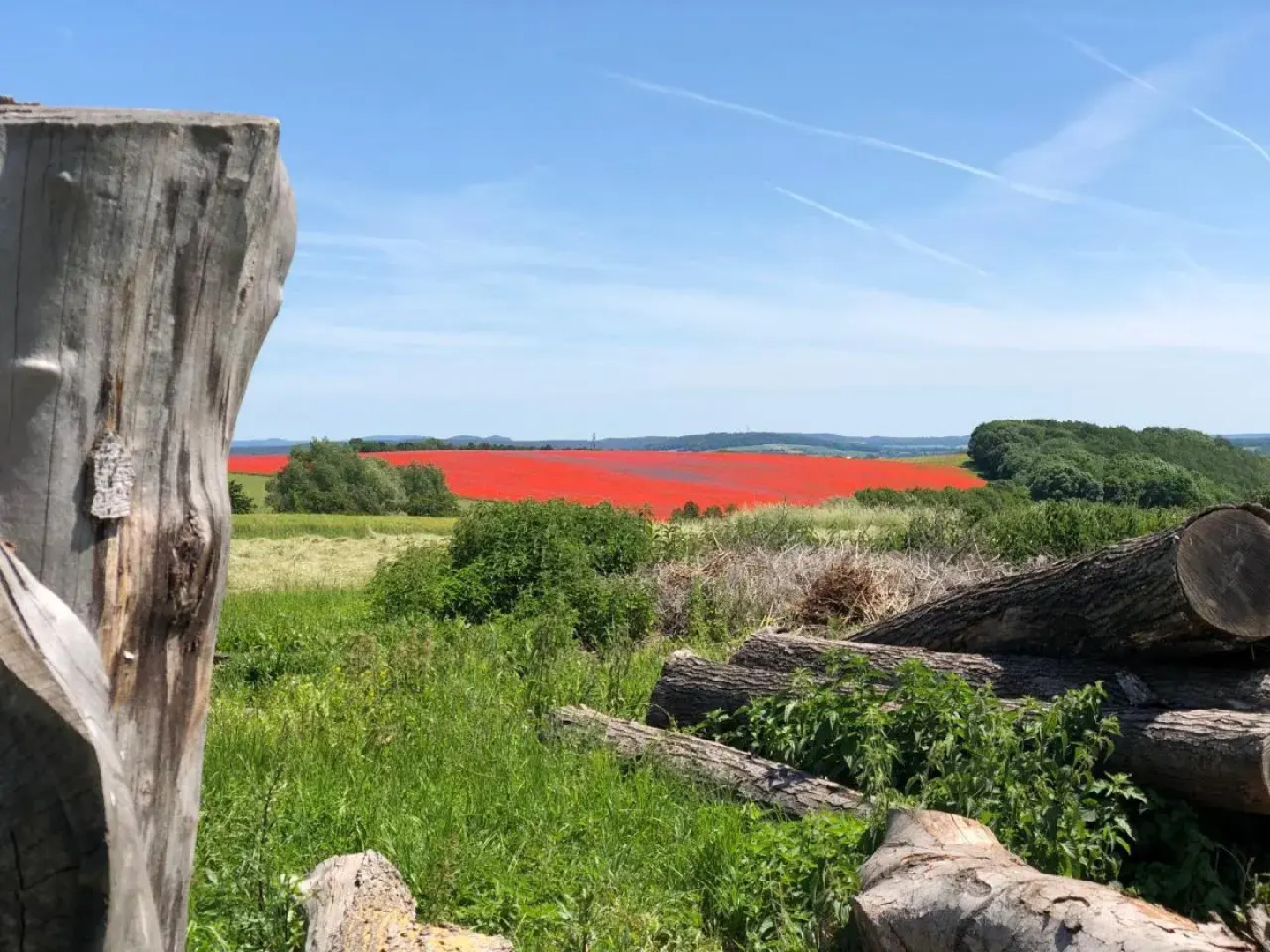 Pension | vonBartsch