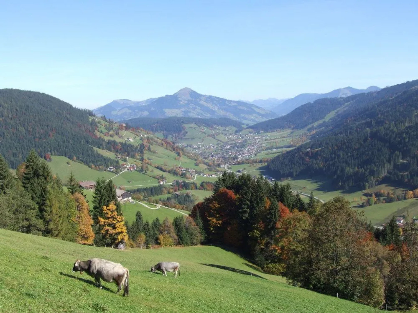 Hotel Pension Almrose