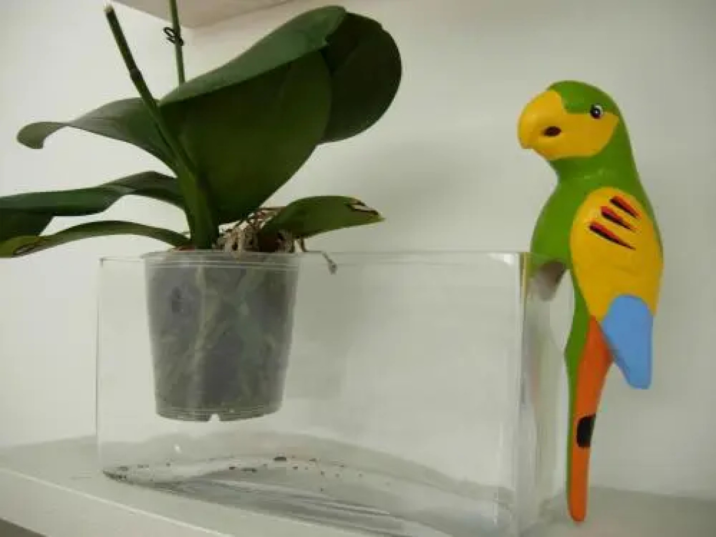 Secret garden in the old town