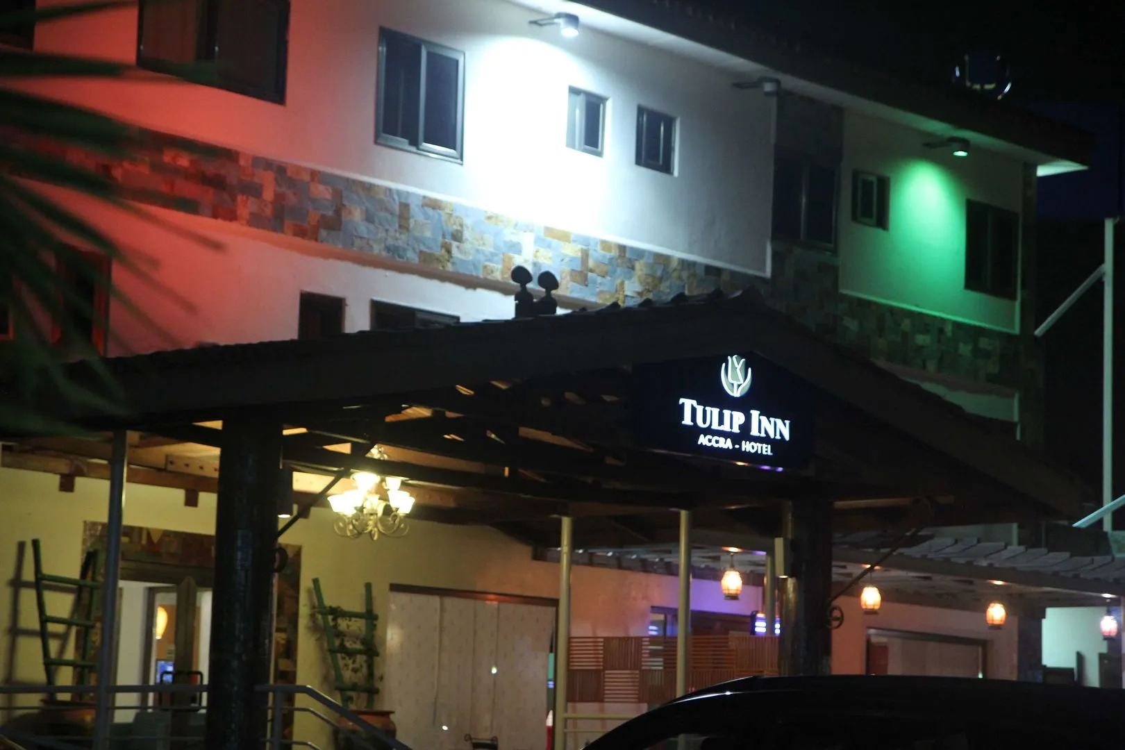 The Tulip By Ave Maria