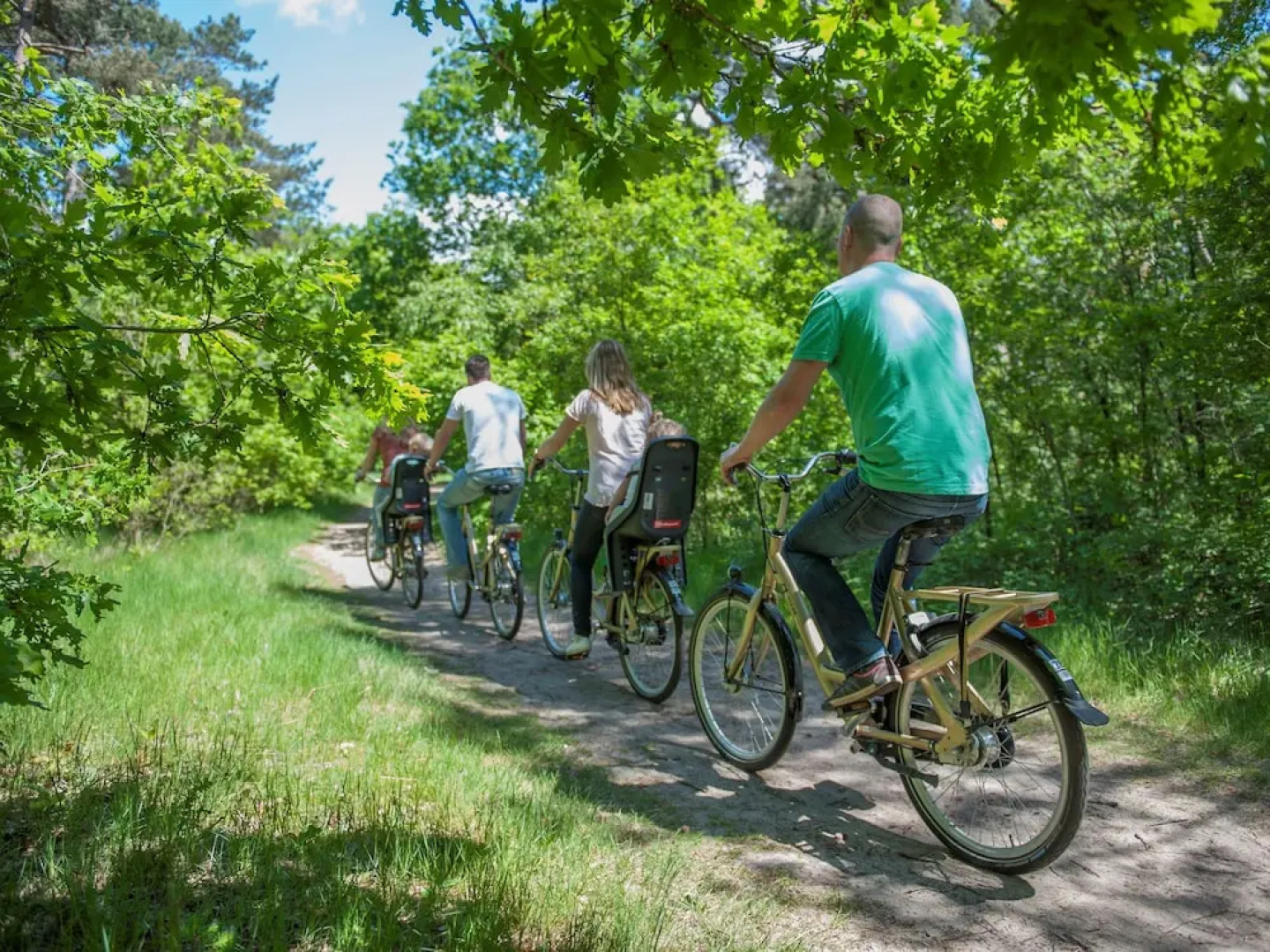 Comfortable Bungalow With Whirlpool Near the Vrachelse Heide