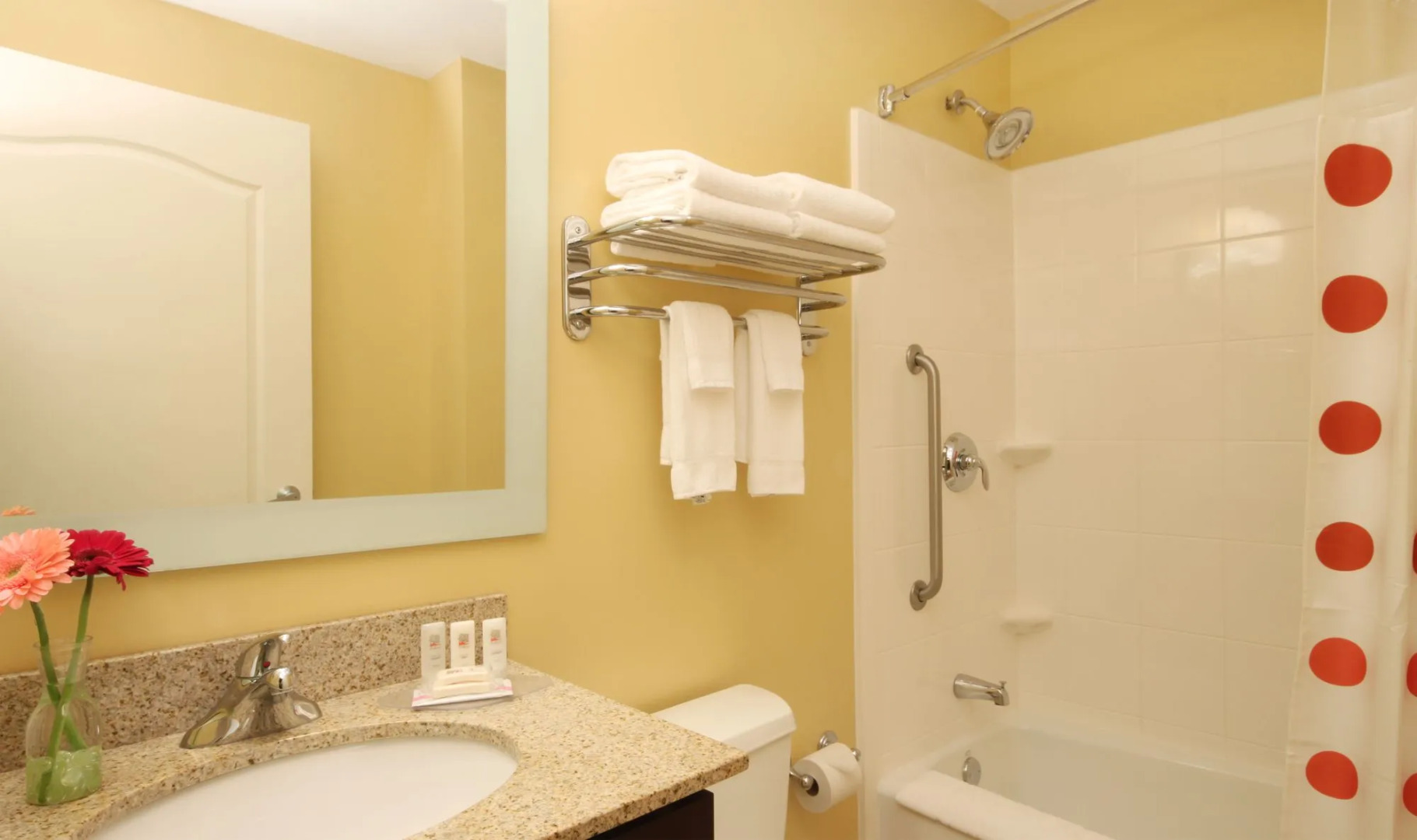 TownePlace Suites by Marriott Albany Downtown/Medical Center