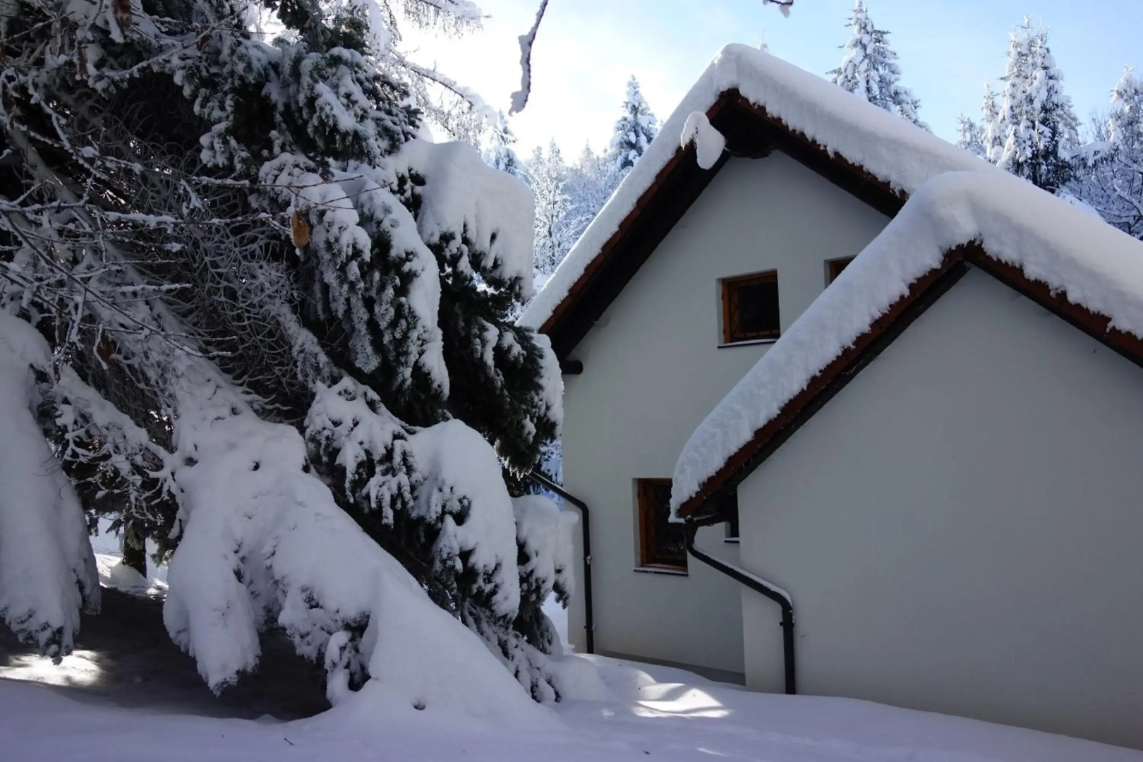 Sweet Stay Forest House