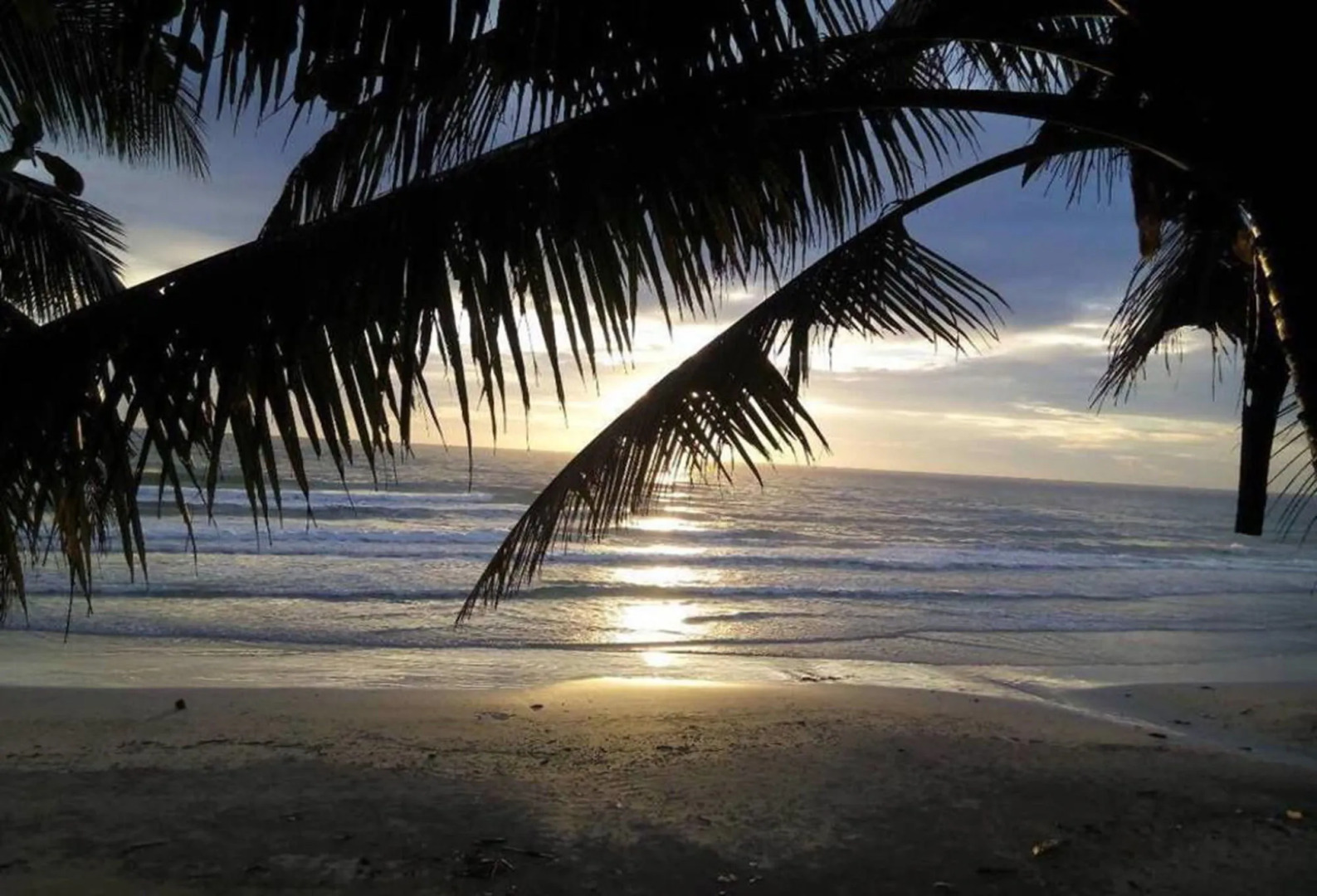 Apple Beachfront Resort