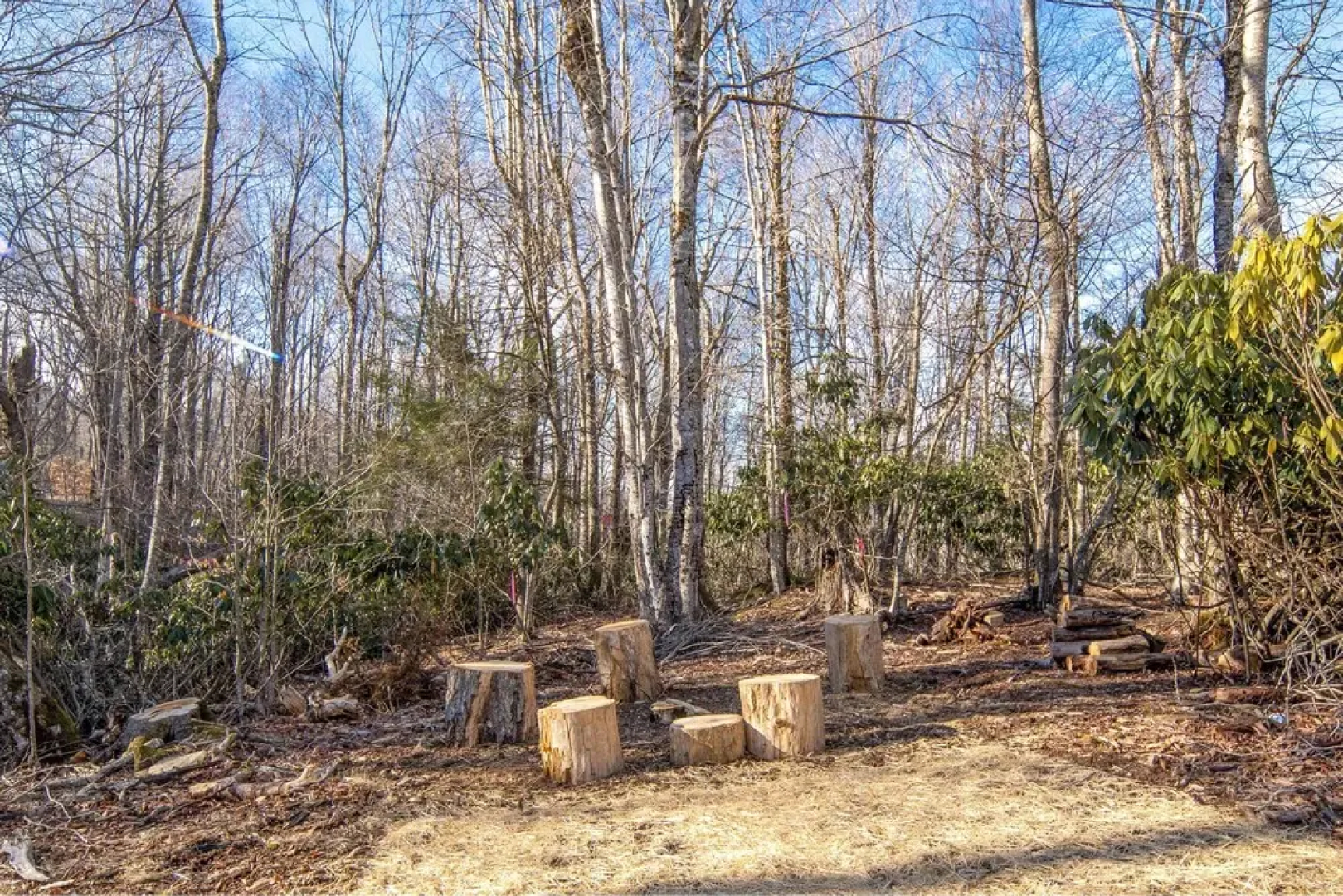 2 Mi to Beech Mtn Resort! 8,000-sq-ft Luxe Escape