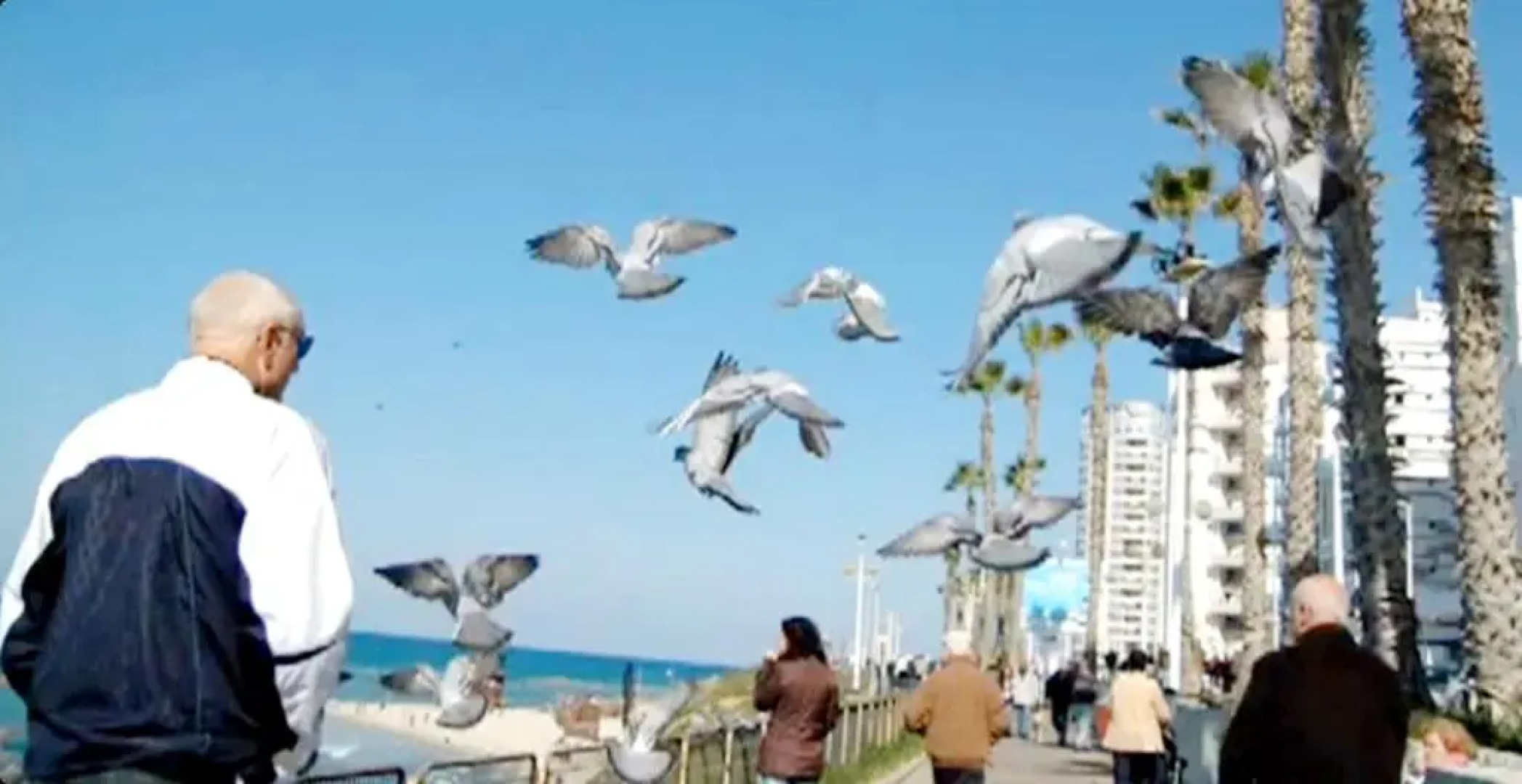 612 Apartment on the Beach