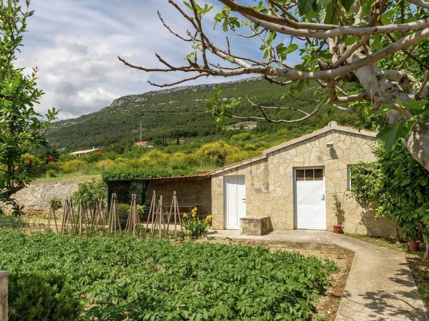 Beautiful Apartment in Between Split and Trogir