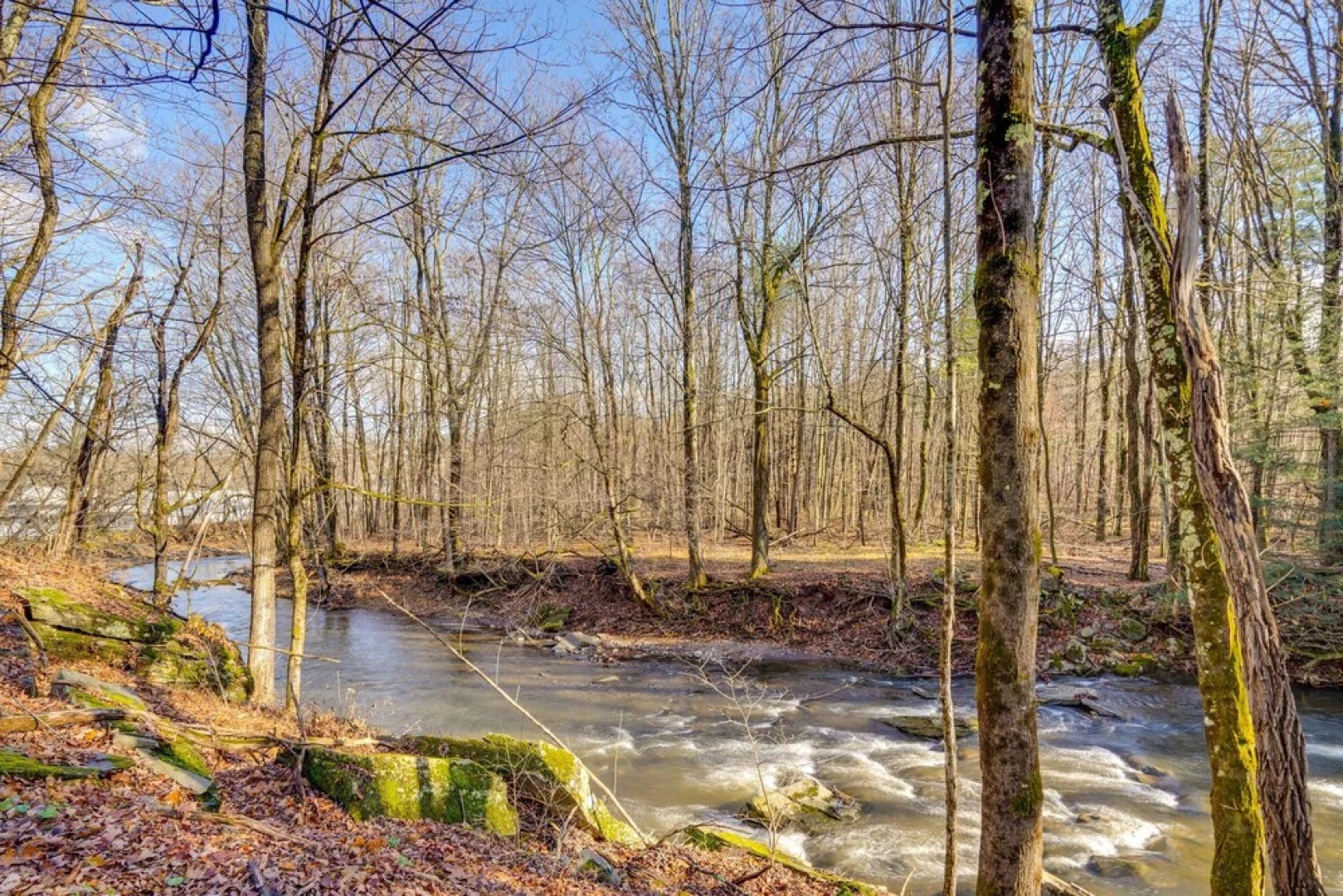 Pearl Creek House w/ Barrel Sauna & Fire Pit!