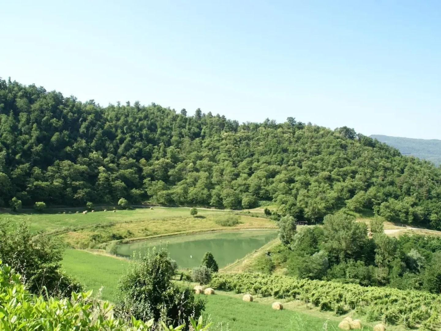 Holiday Home in Dicomano