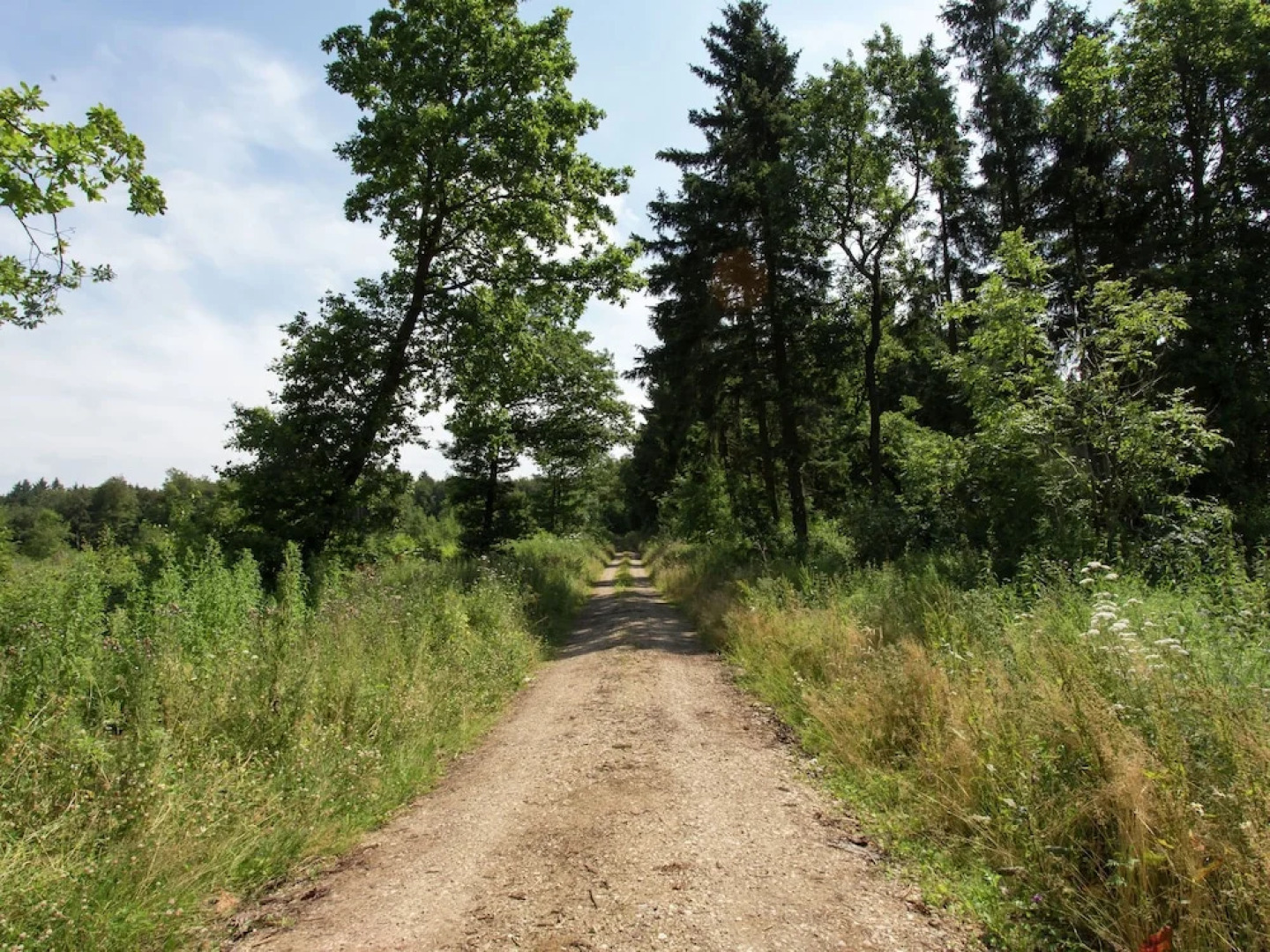 Lovely Apartment in Bleialf With Terrace