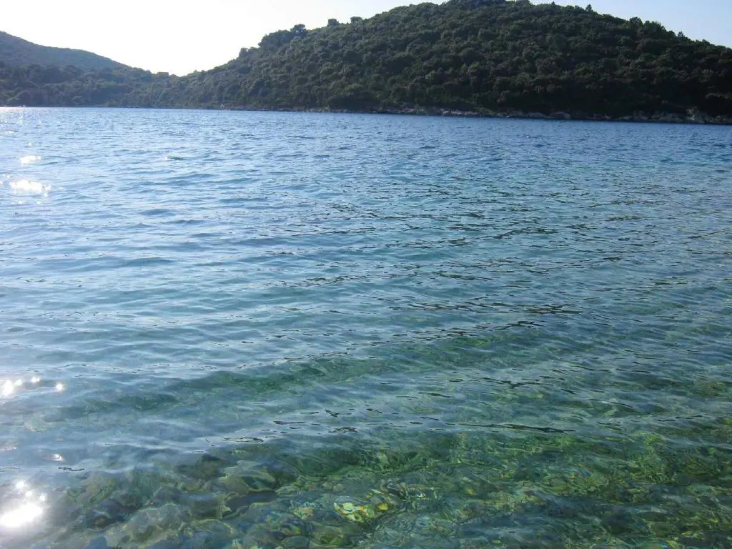 Apartment with 3 bedrooms in Zrnovo with wonderful sea view shared pool furnished balcony 80 m from the beach