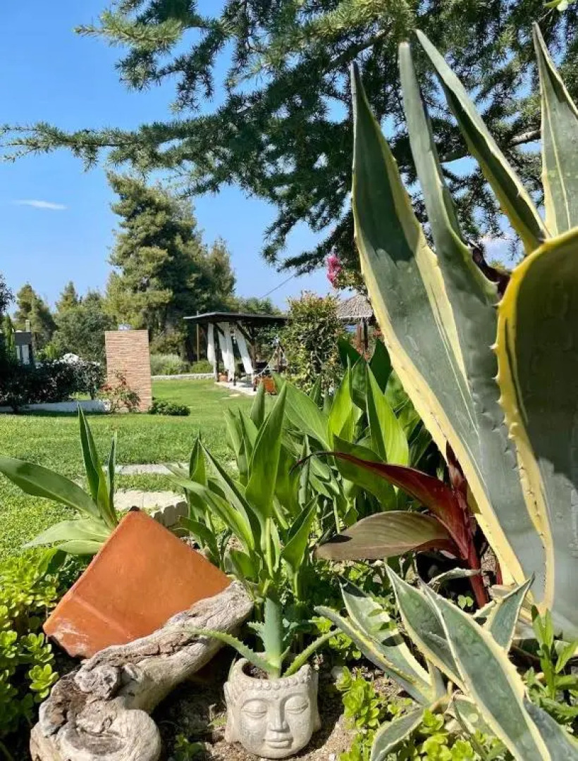 Eden apartment Paliouri with private backyard garden