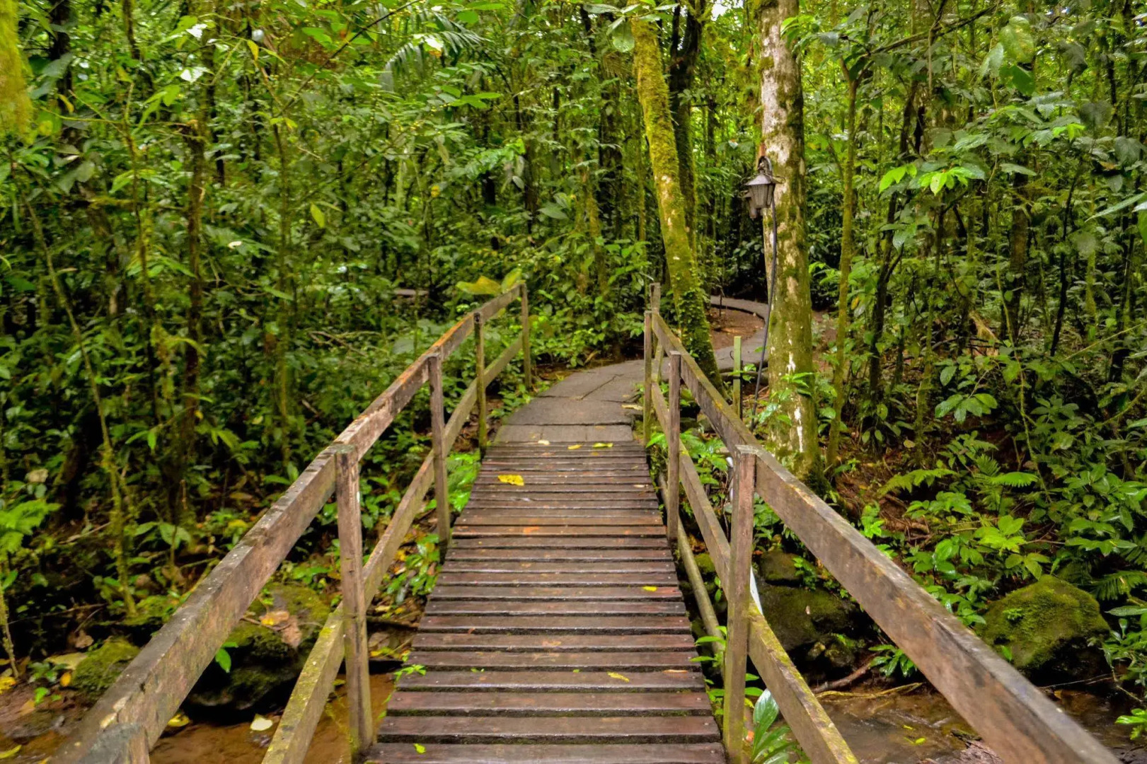 Termales del Bosque & Hot Springs