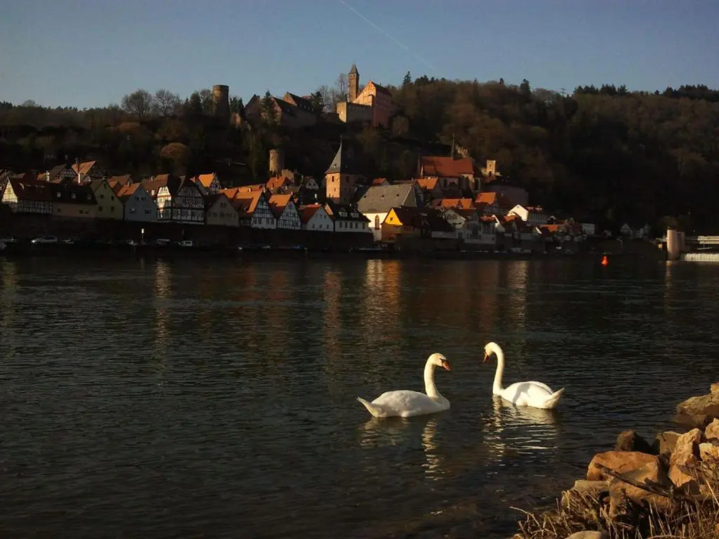 Romantisches Hirschhorn am Neckar
