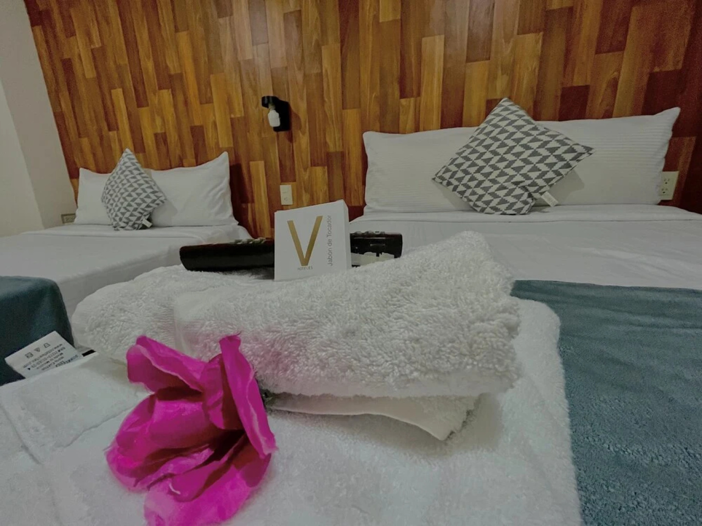 Hotel Suites Santa Teresa