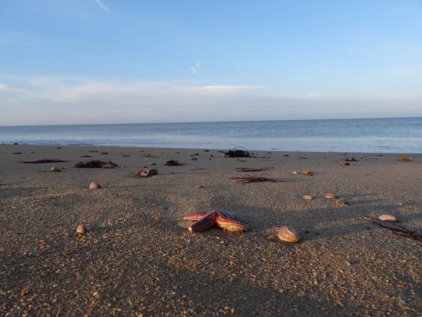 Self catering 1 room lodge