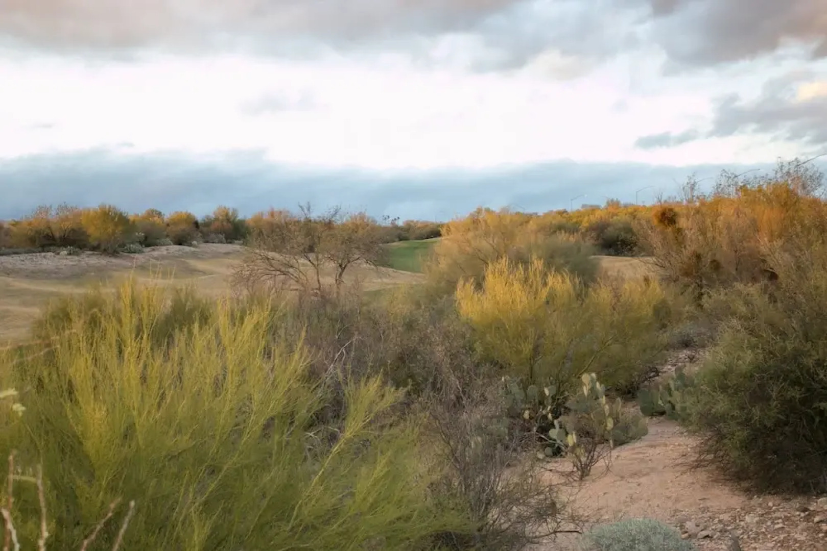 Oro Valley Oasis 2 Bedroom by Casago