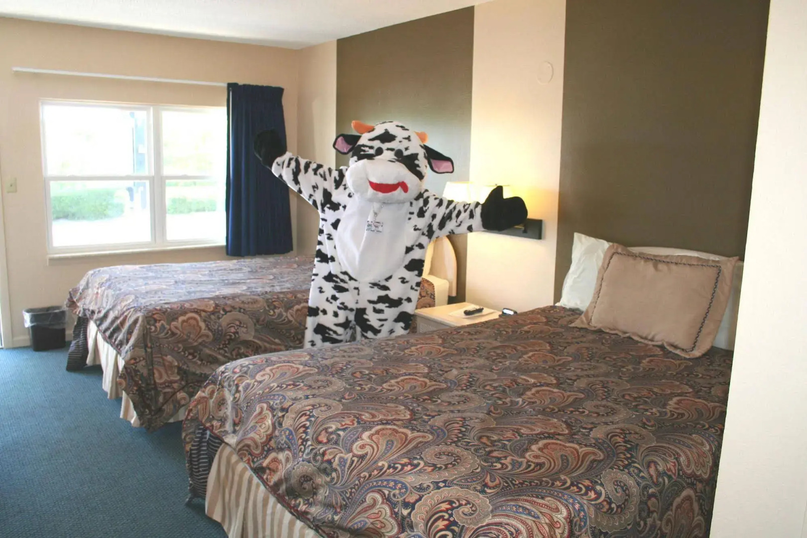 Town and Country Motel