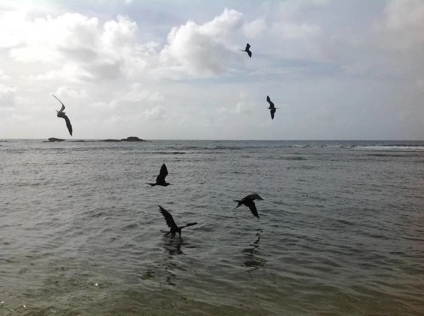 Rainbow Beach Apartments & Rooms