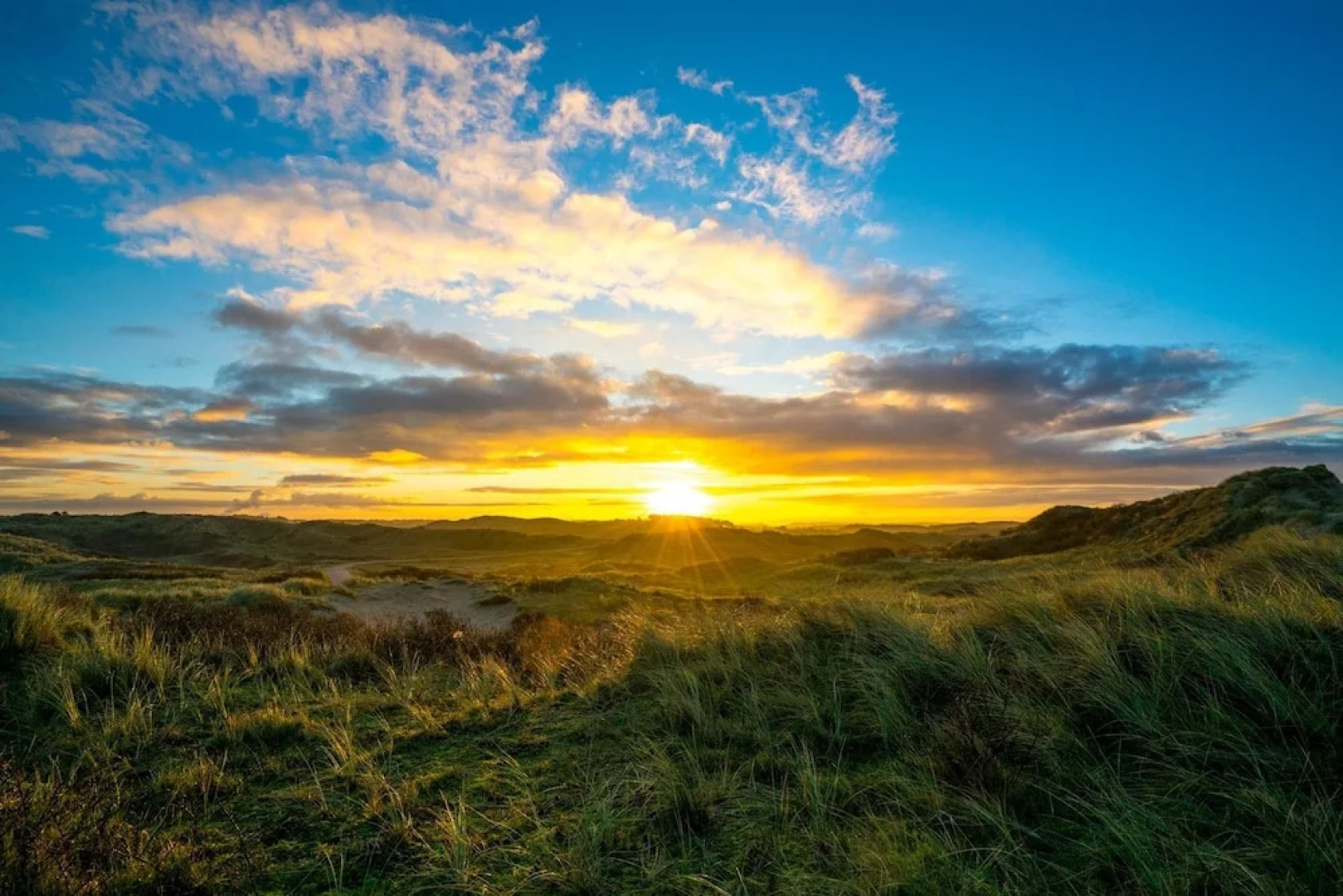 Surfana Surf Hostel Bloemendaal Campsite