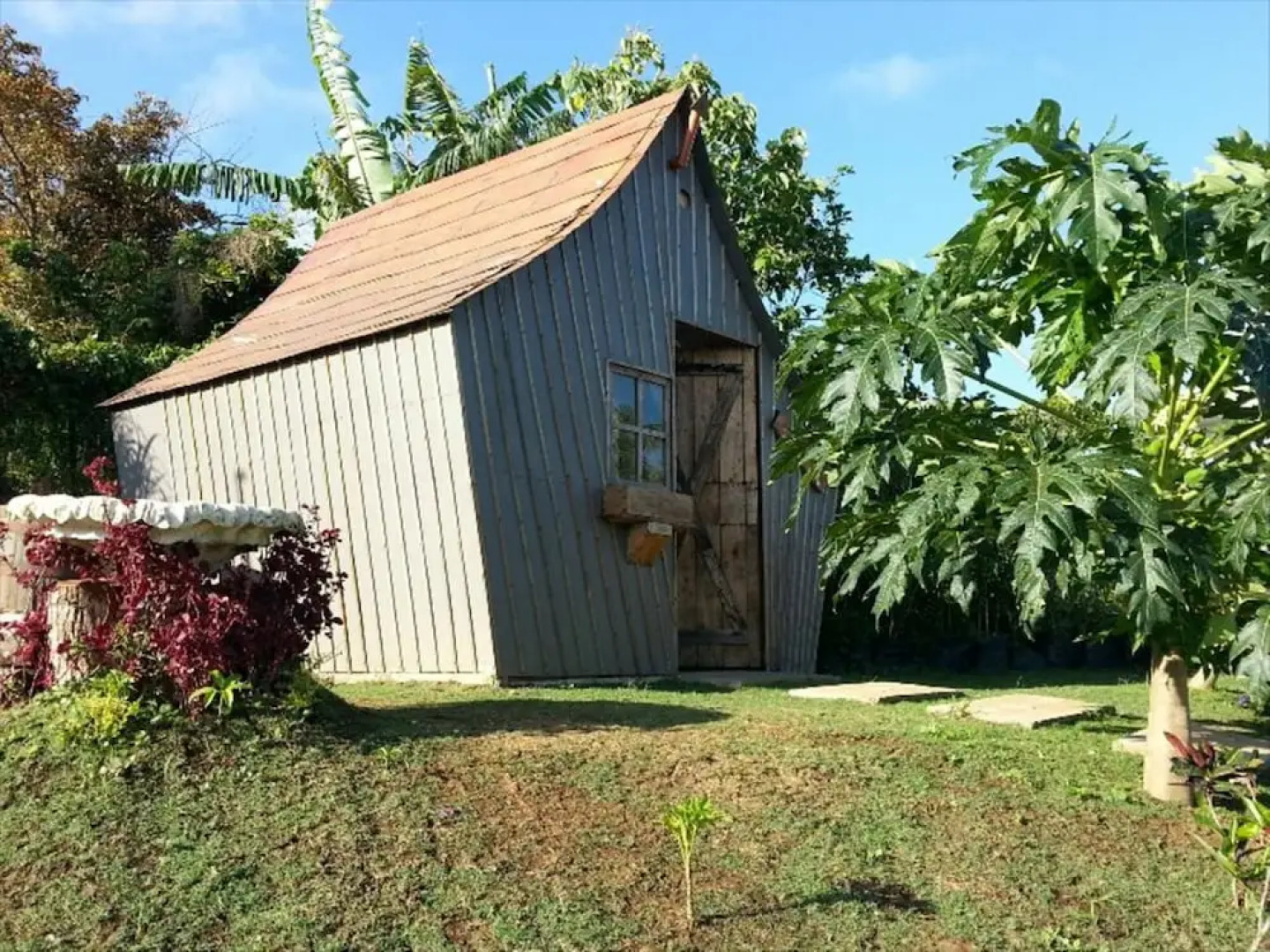 ZEN Rooms Titus Poison Garden