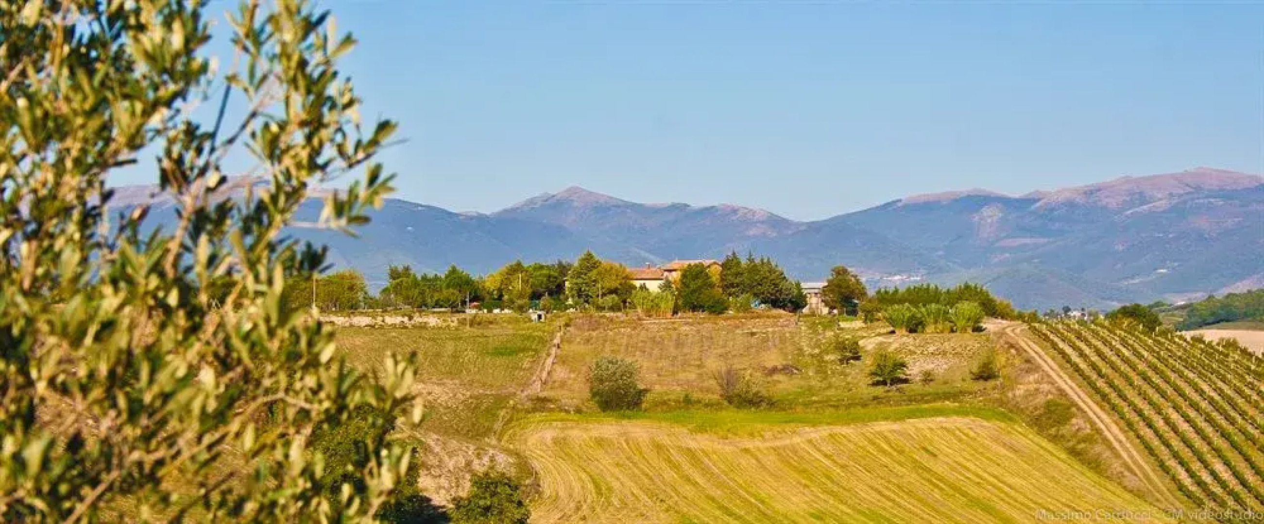 Agriturismo San Vito