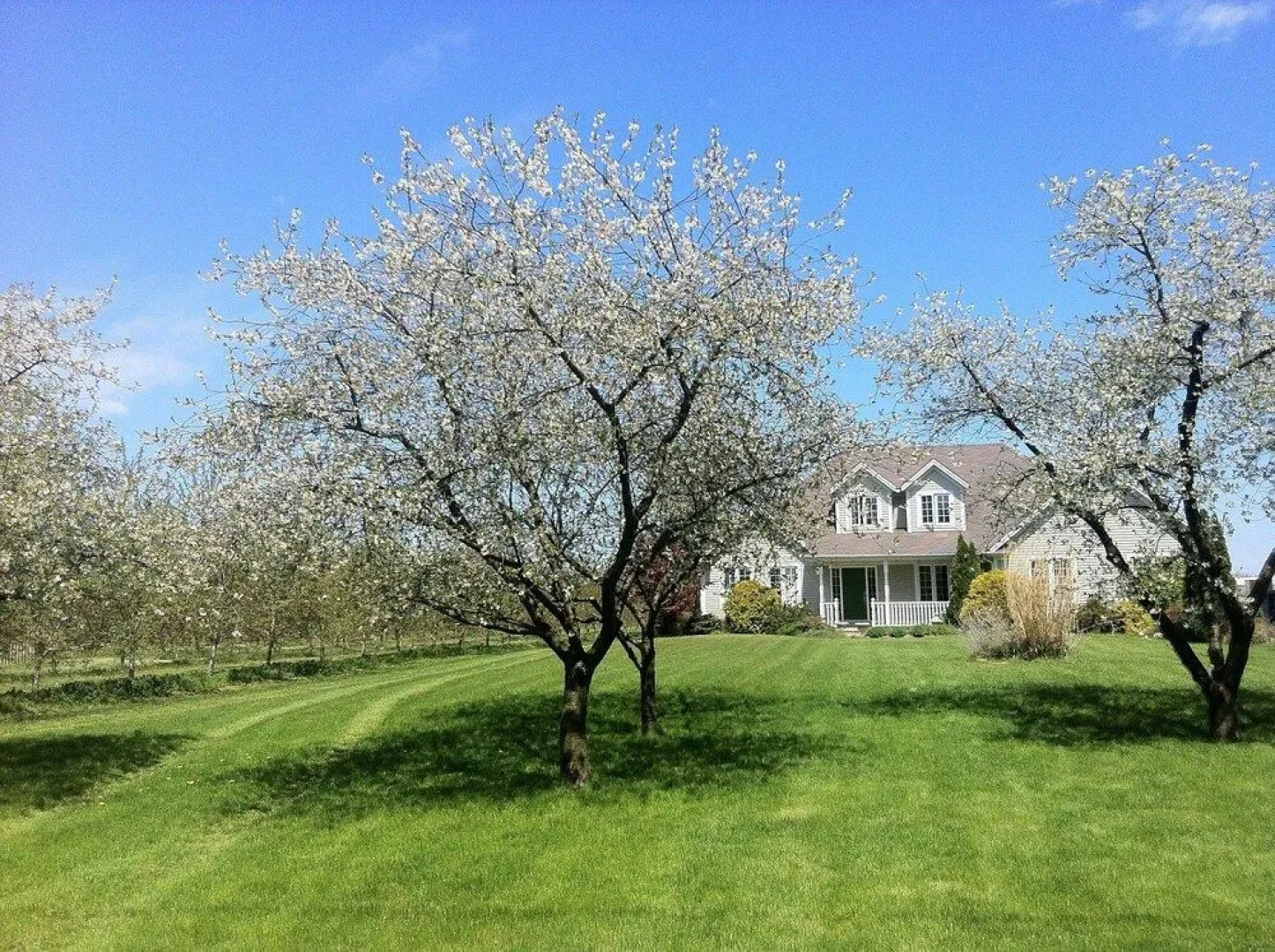 Orchard Croft Boutique Country Retreat