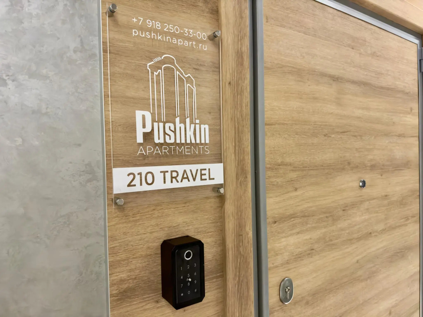 Pushkin Apartments (Пушкин апартаменты)