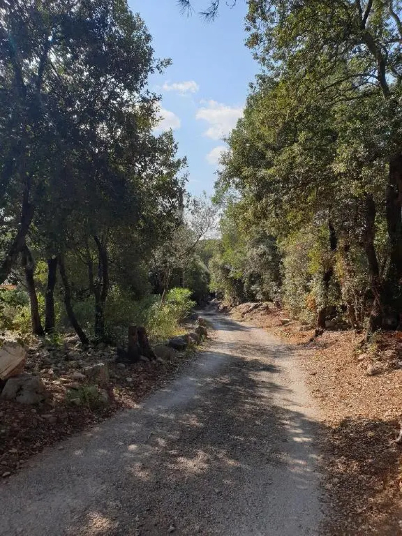 Le Petit Coin de Paradis